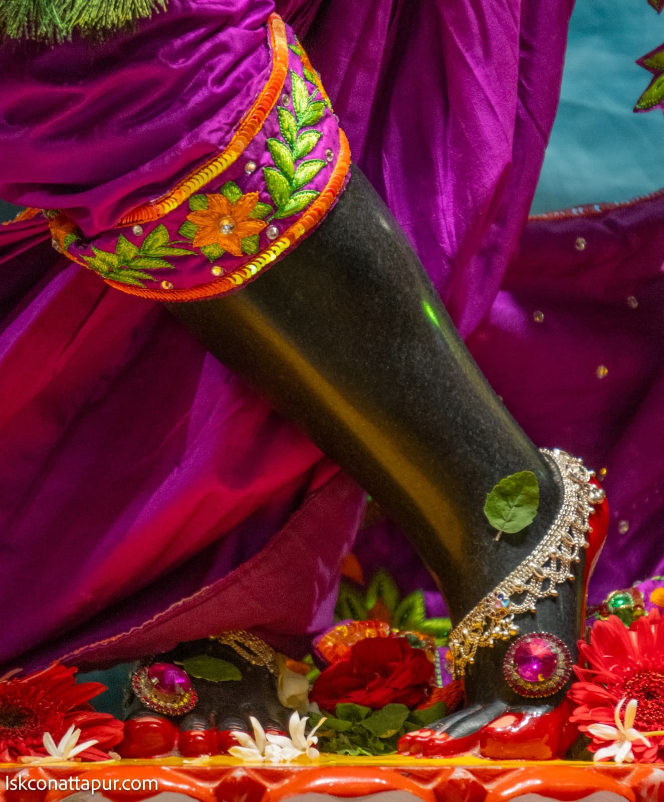 Sringar Darshan photo 4 of 6 — 10 January 2026