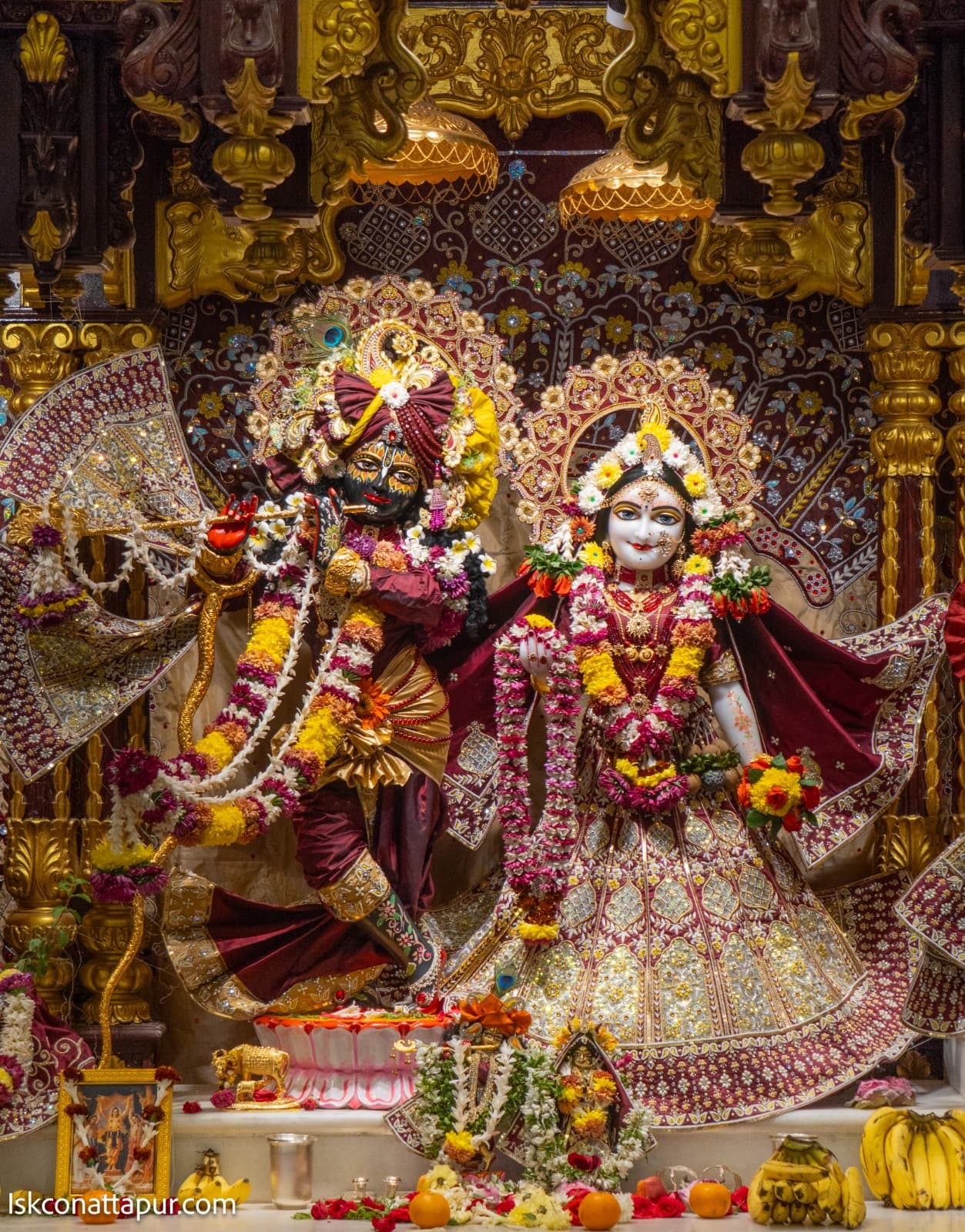Sringar Darshan photo 1 of 7 — 11 January 2026