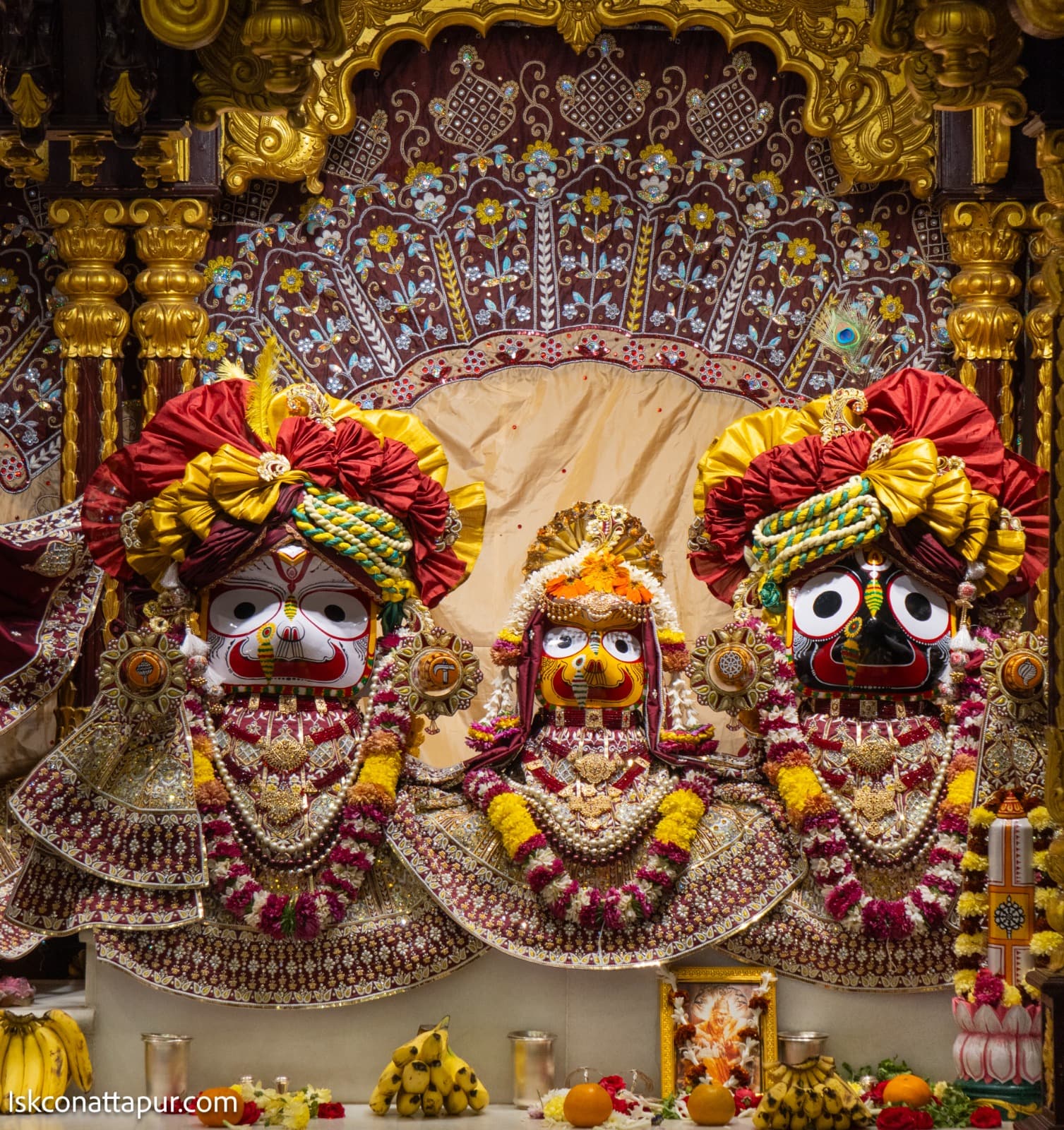 Sringar Darshan photo 3 of 7 — 11 January 2026