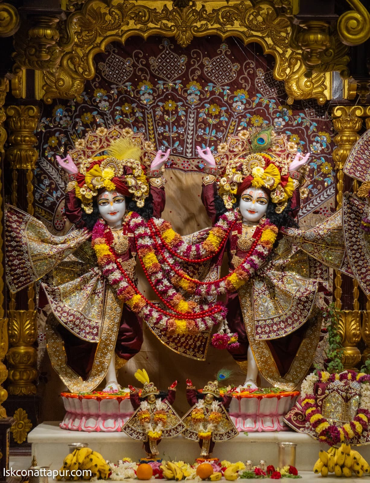 Sringar Darshan photo 5 of 7 — 11 January 2026