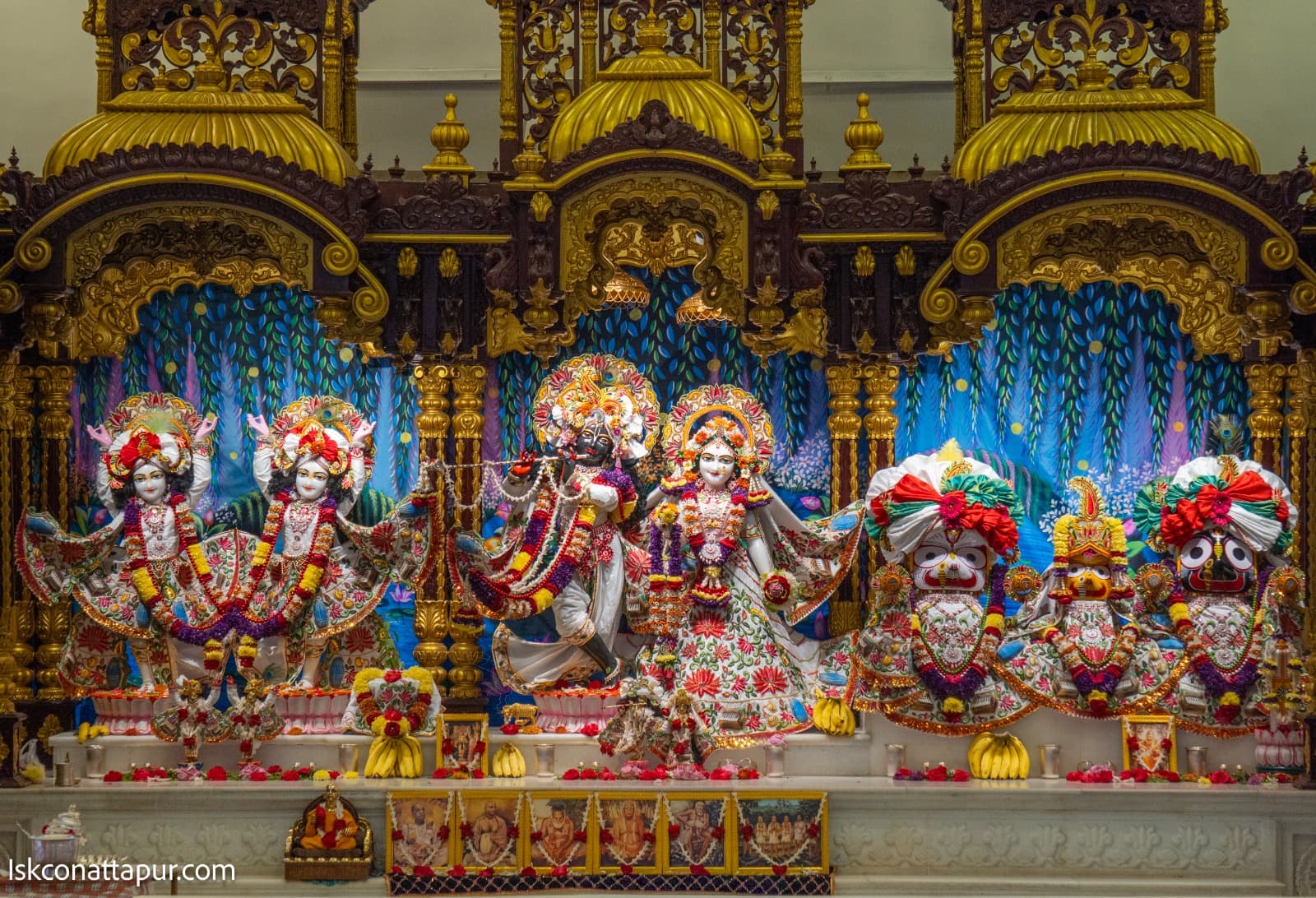 Sringar Darshan photo 3 of 6 — 12 January 2026