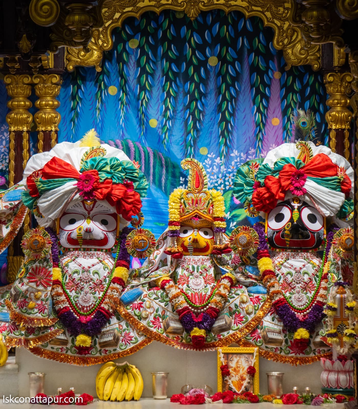 Sringar Darshan photo 2 of 6 — 12 January 2026