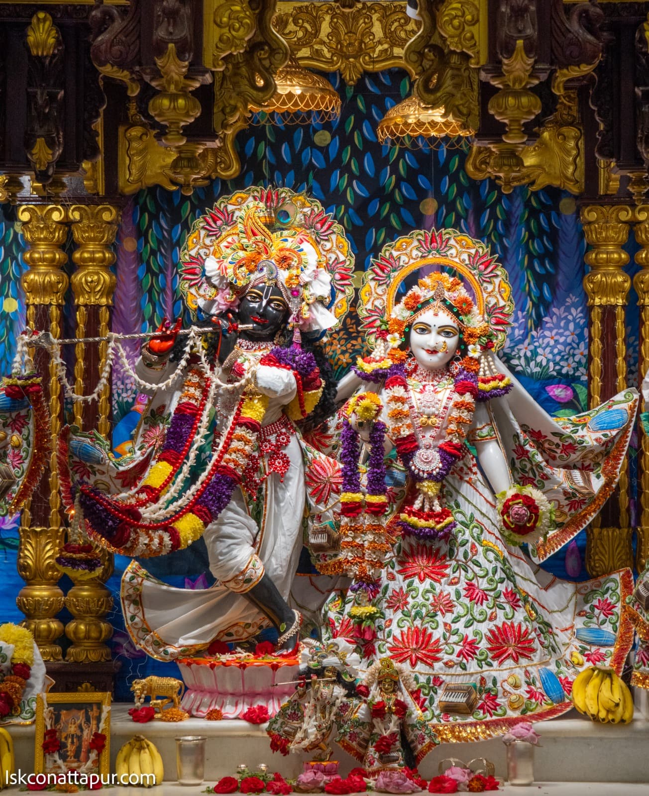 Sringar Darshan photo 1 of 6 — 12 January 2026