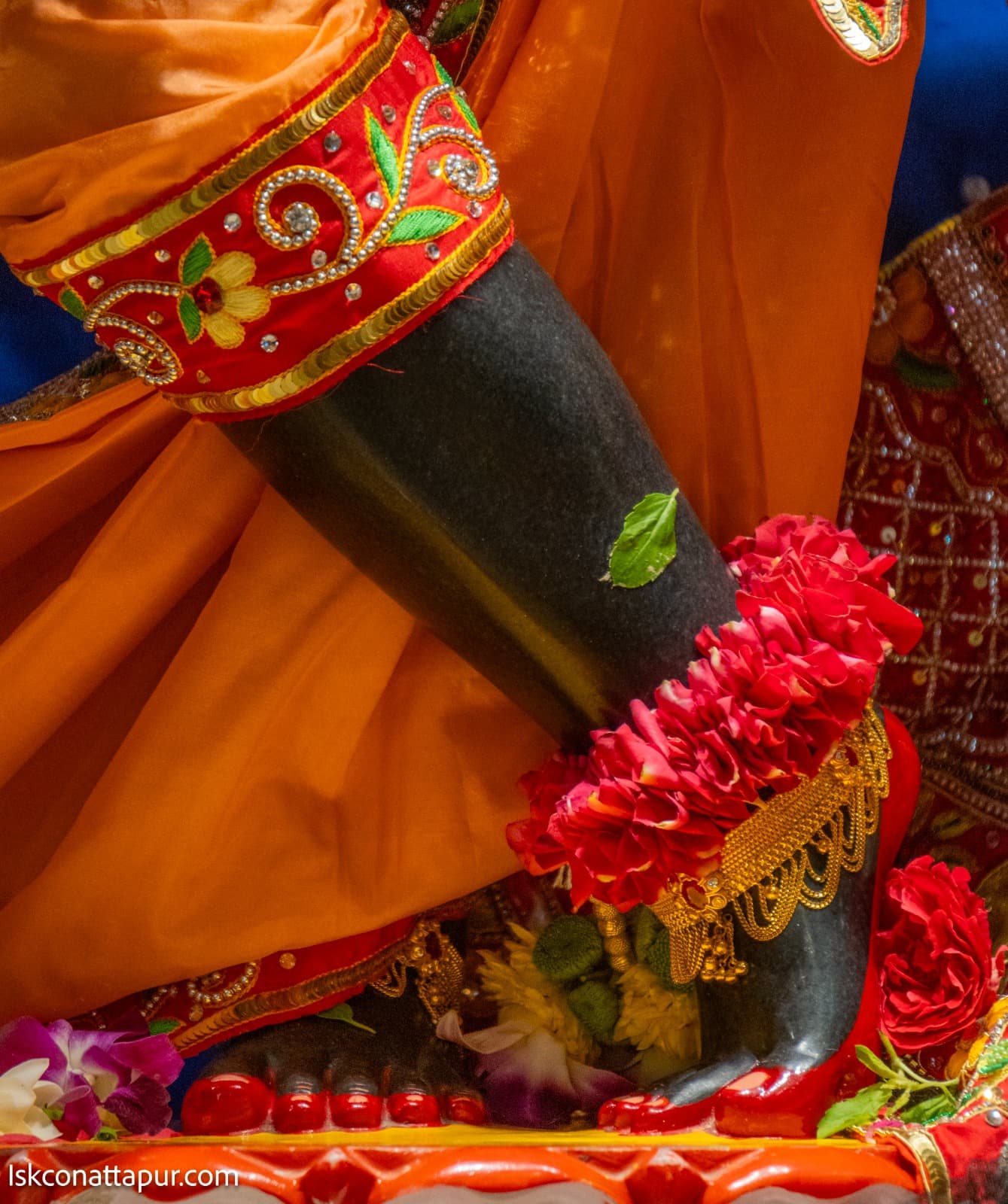 Sringar Darshan photo 6 of 8 — 14 January 2026