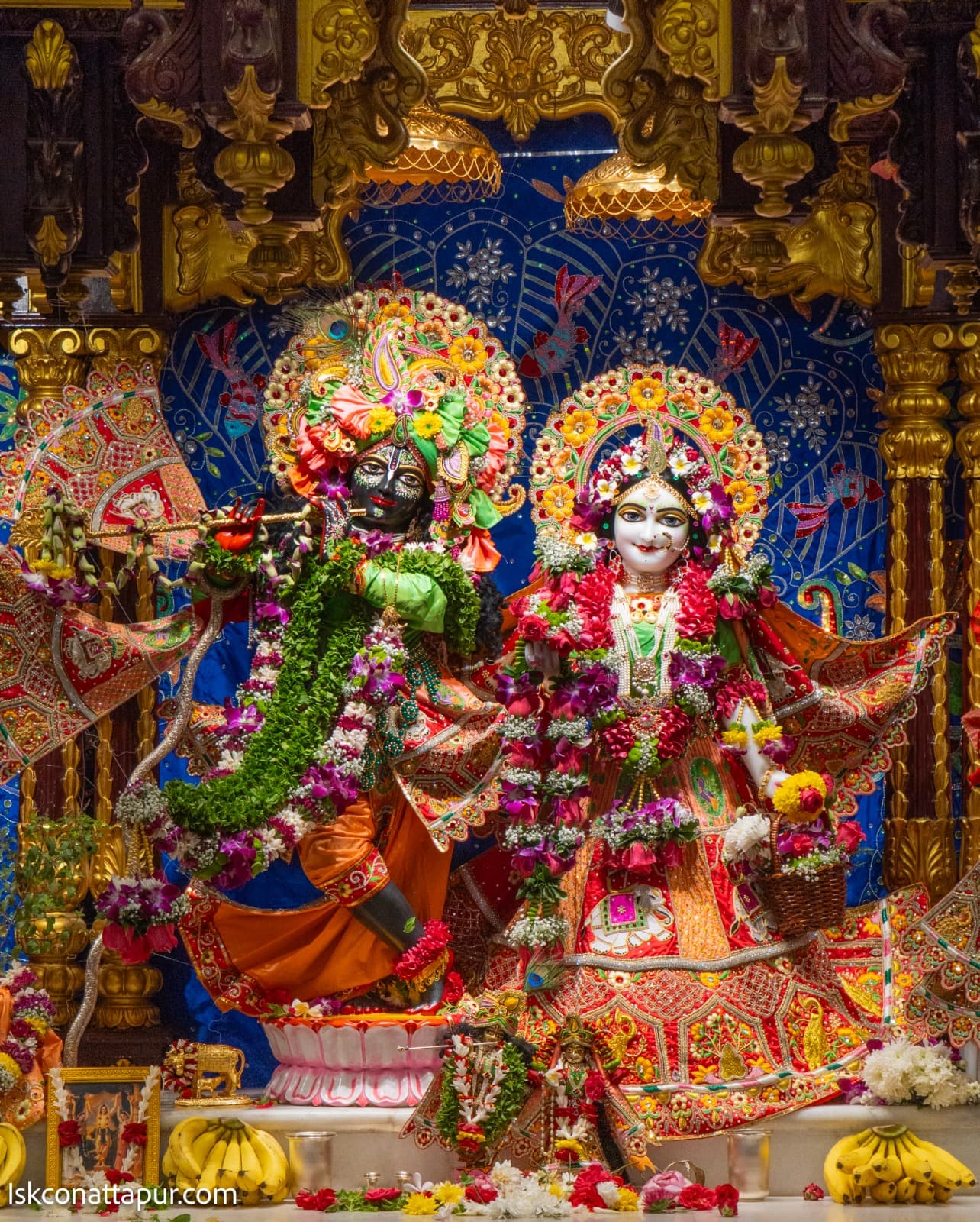 Sringar Darshan photo 1 of 8 — 14 January 2026
