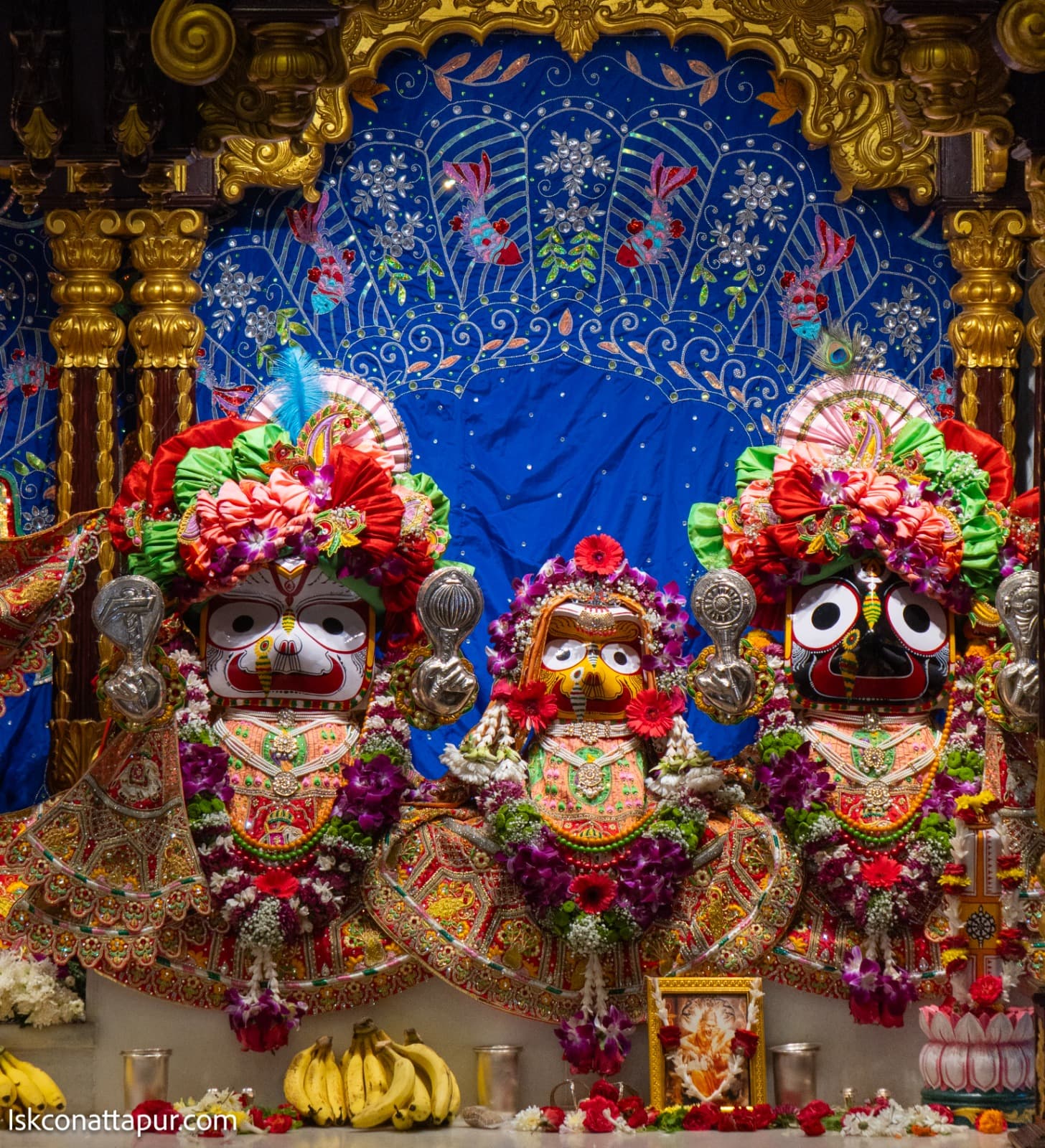 Sringar Darshan photo 4 of 8 — 14 January 2026