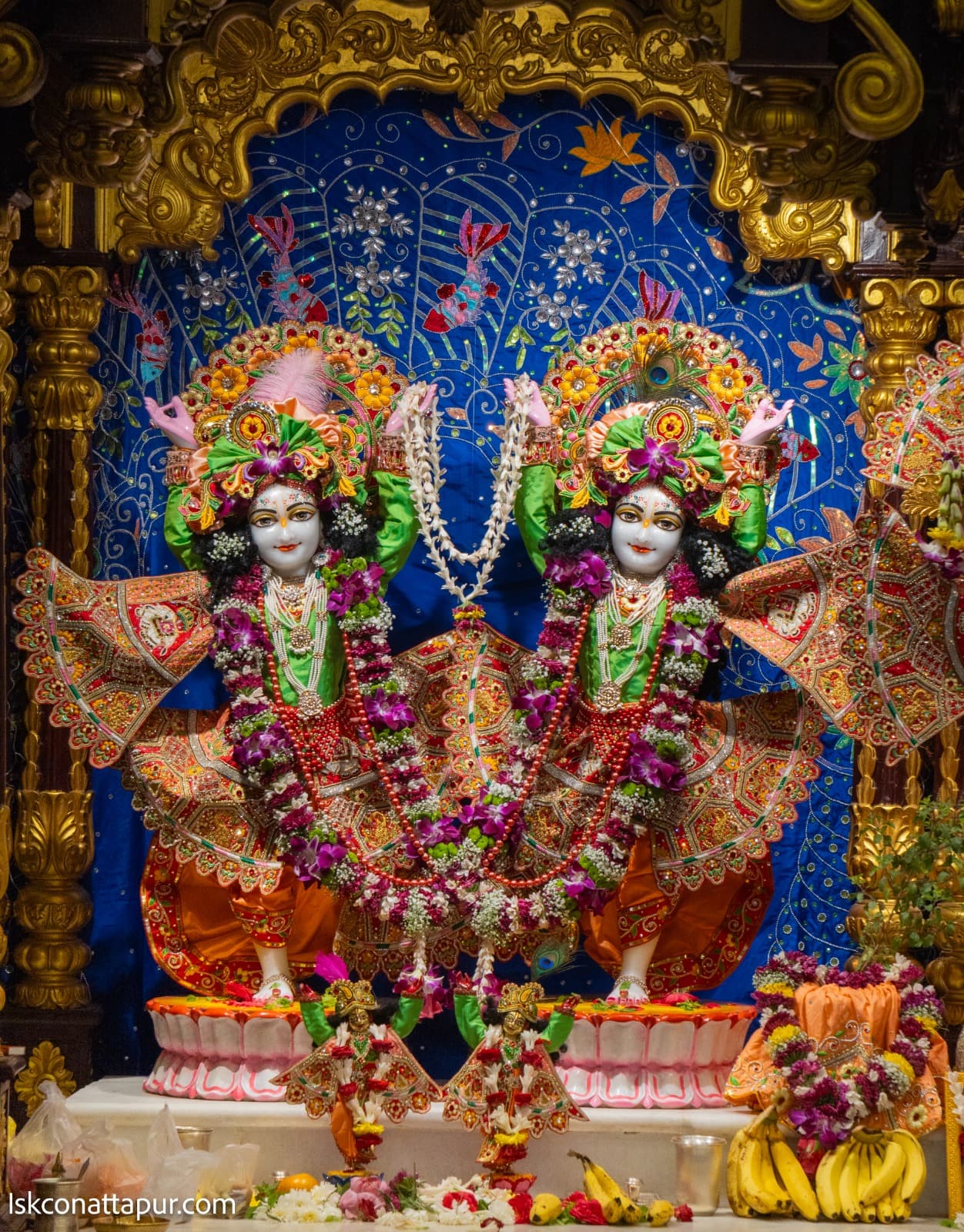Sringar Darshan photo 7 of 8 — 14 January 2026