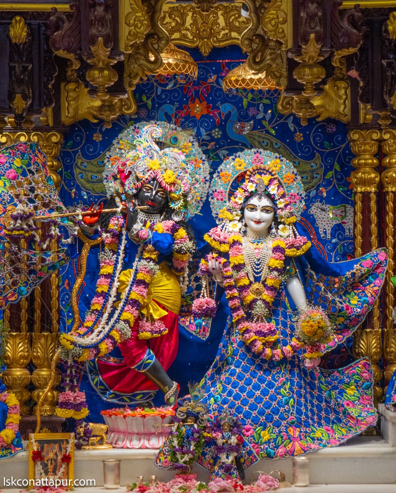 Sringar Darshan photo 1 of 7 — 16 January 2026