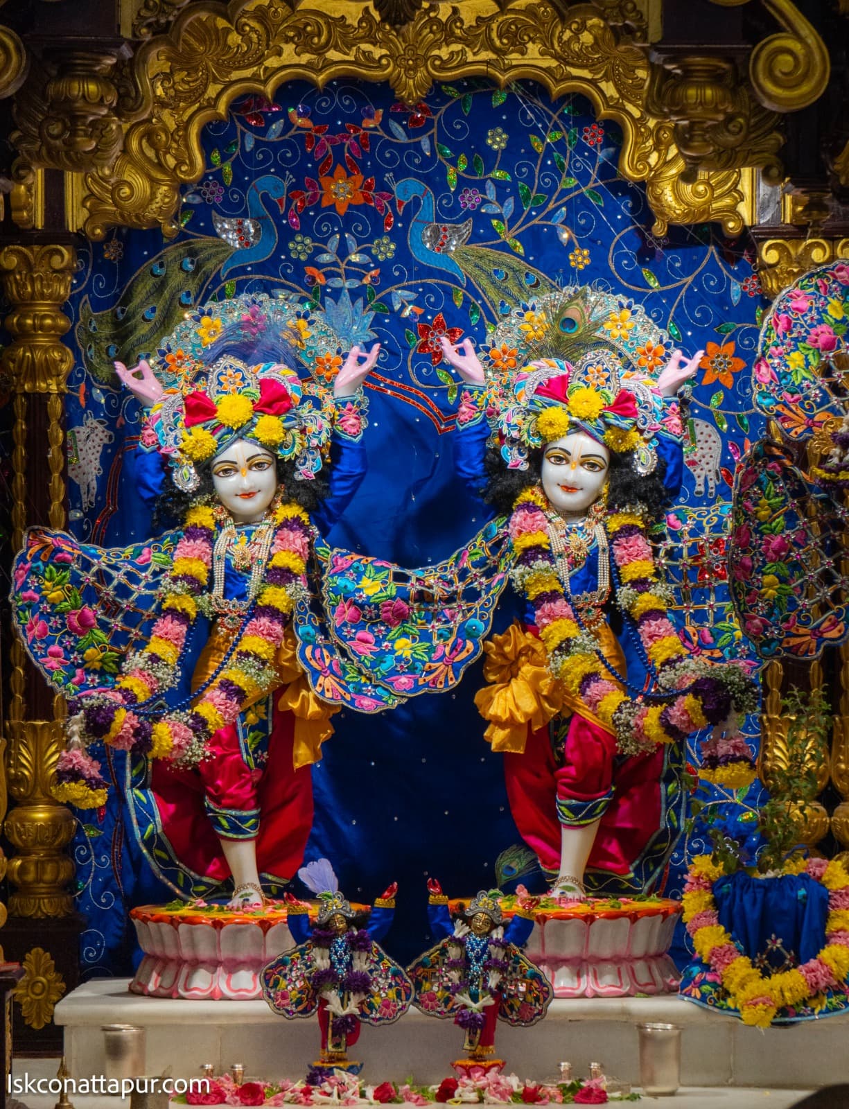 Sringar Darshan photo 6 of 7 — 16 January 2026