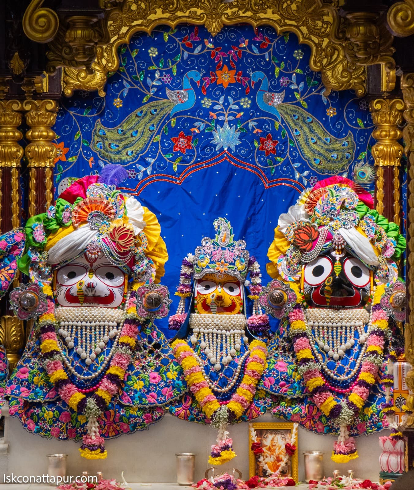 Sringar Darshan photo 3 of 7 — 16 January 2026