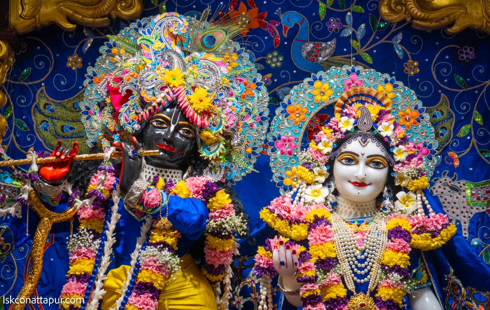 Sringar Darshan photo 4 of 7 — 16 January 2026