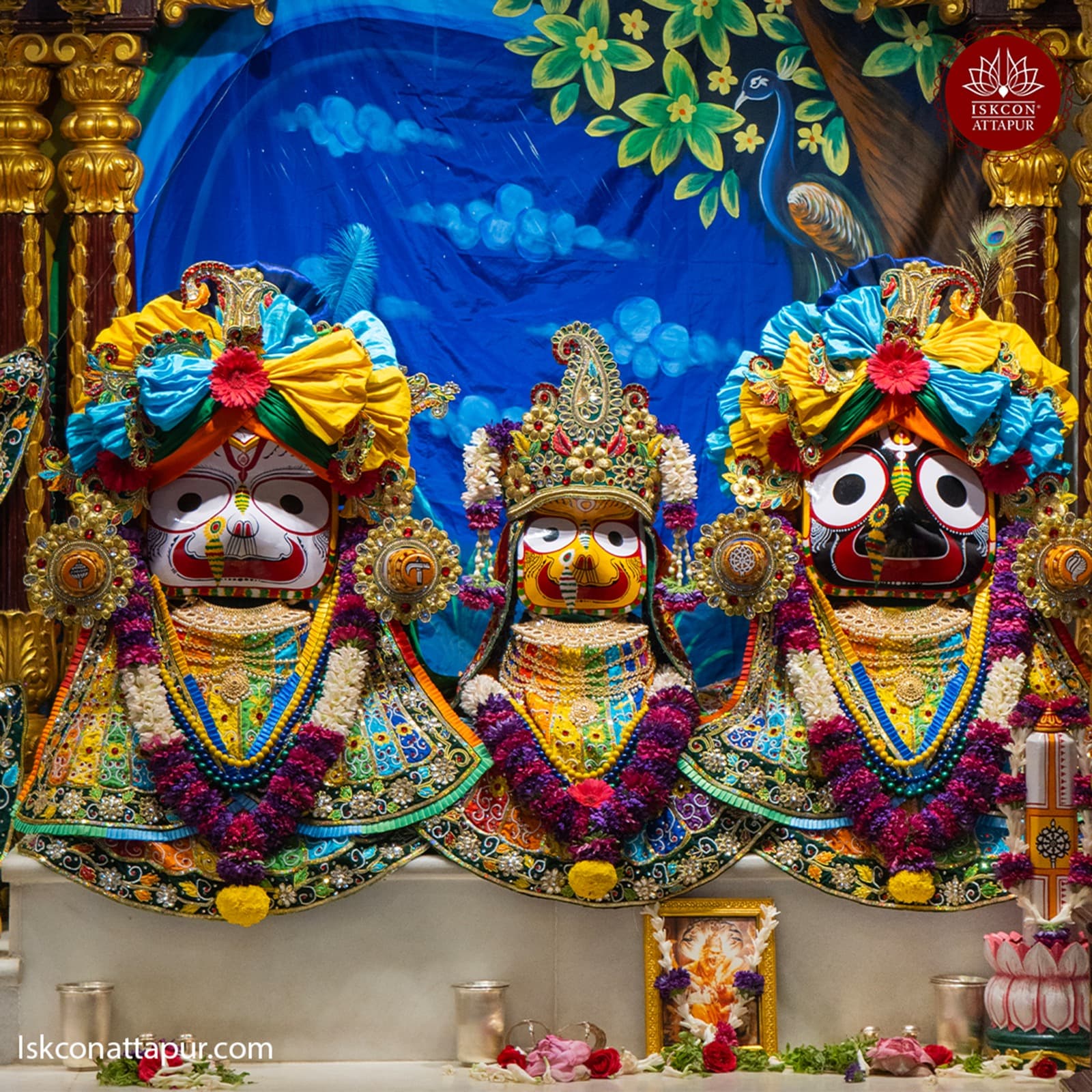 Sringar Darshan photo 2 of 6 — 17 January 2026