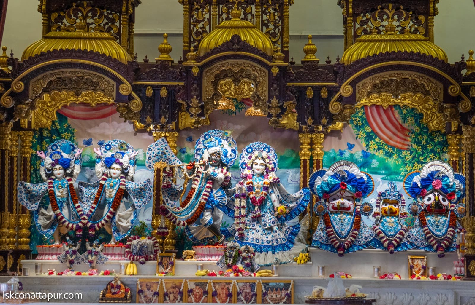 Sringar Darshan photo 2 of 6 — 19 January 2026