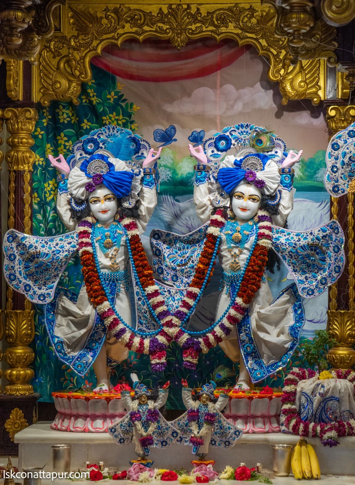 Sringar Darshan photo 5 of 6 — 19 January 2026