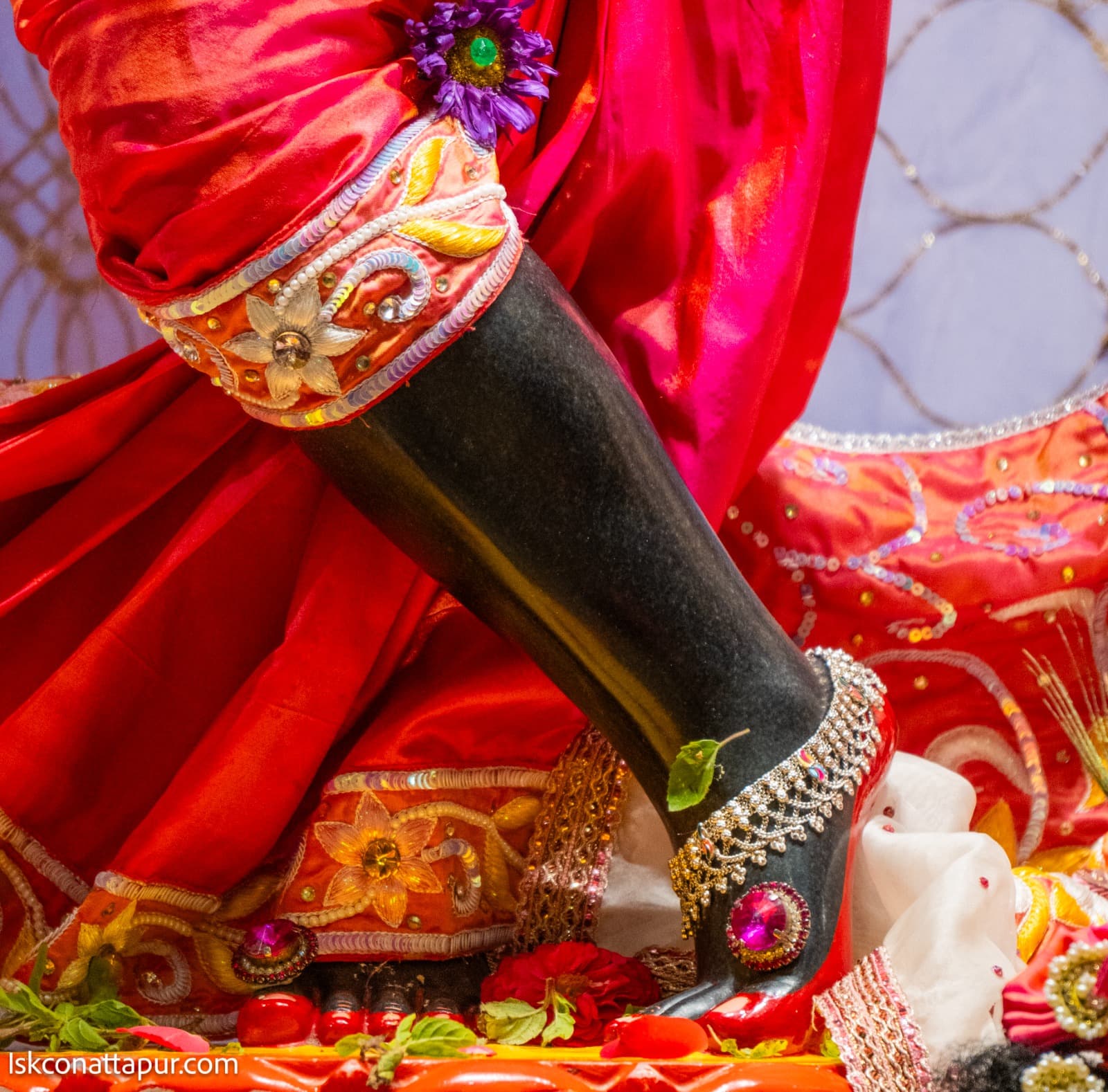 Sringar Darshan photo 4 of 6 — 20 January 2026