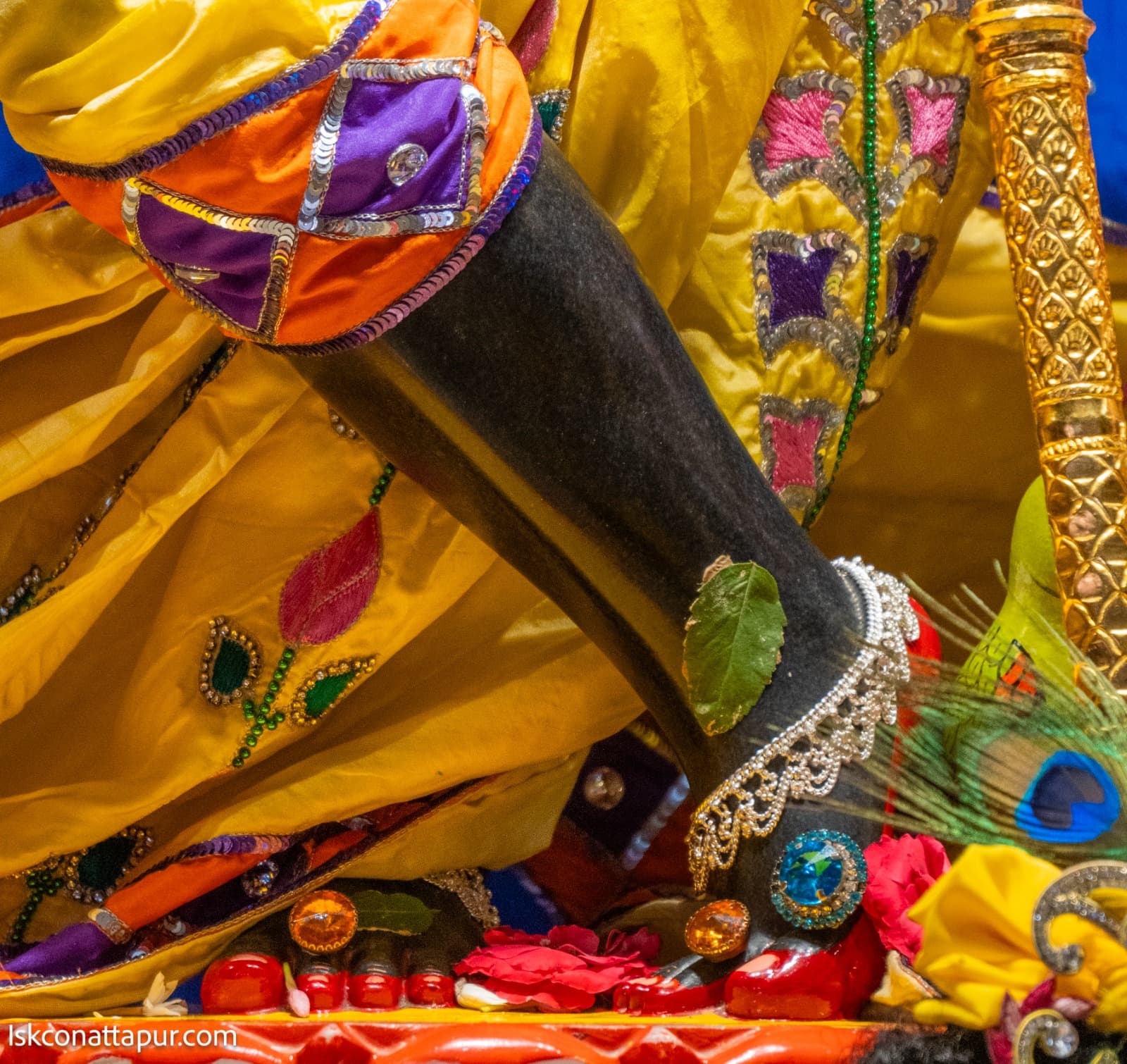 Sringar Darshan photo 2 of 6 — 22 January 2026