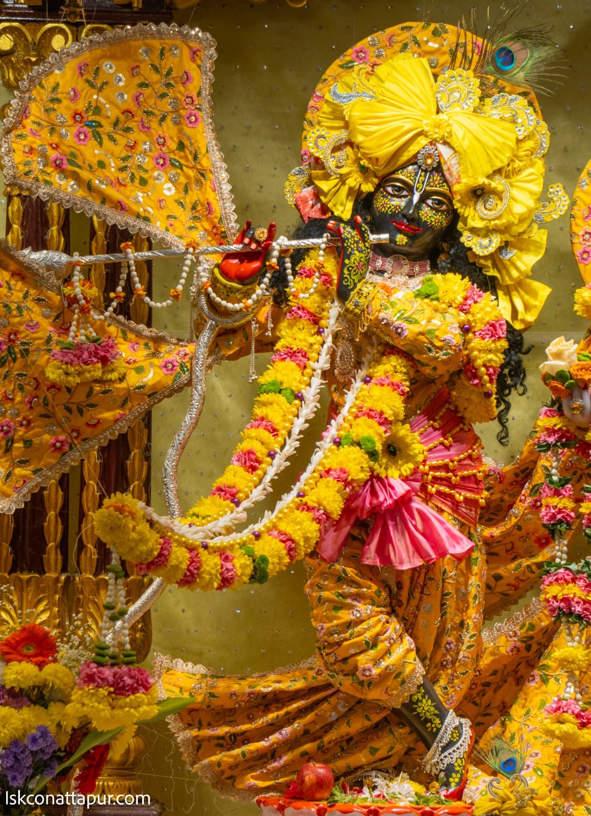 Sringar Darshan photo 2 of 9 — 23 January 2026