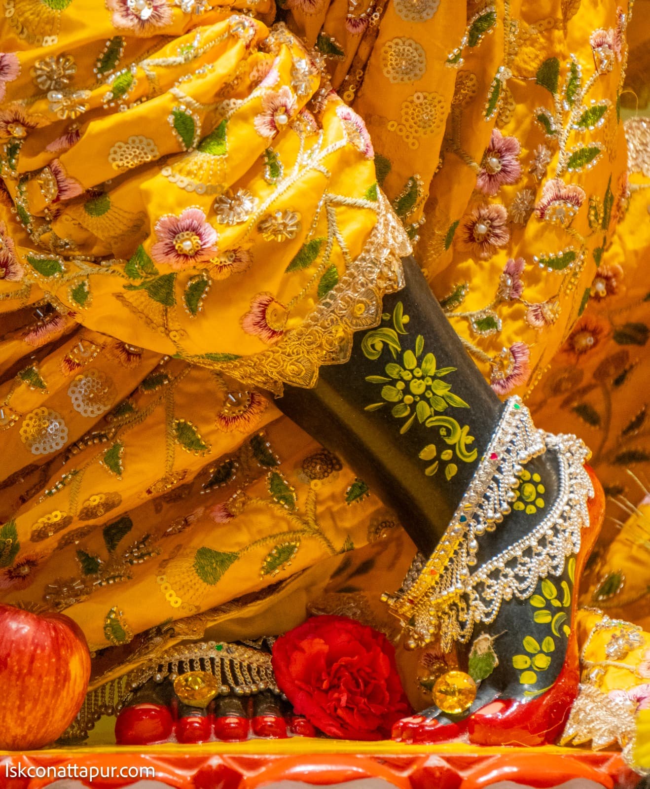 Sringar Darshan photo 8 of 9 — 23 January 2026