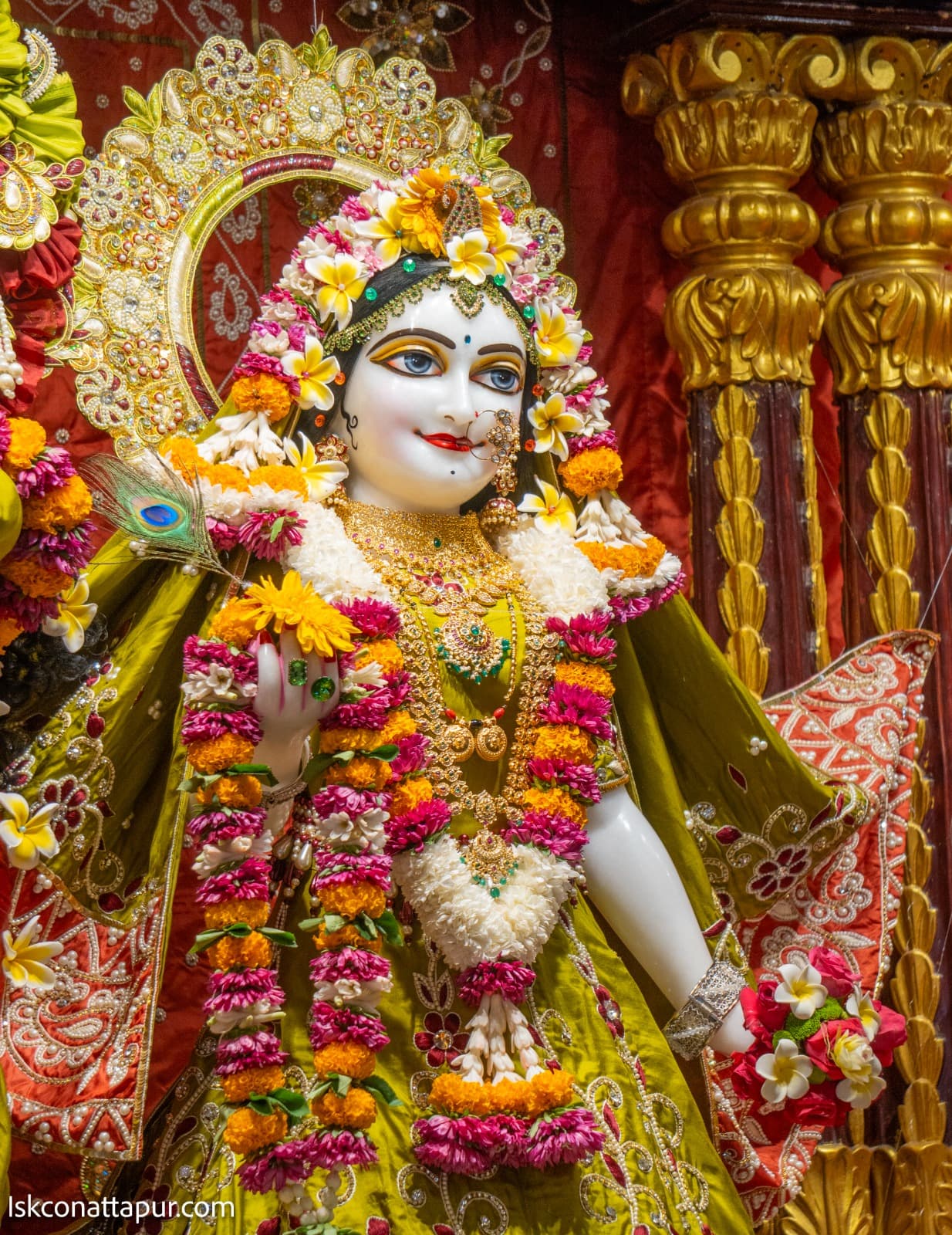 Sringar Darshan photo 5 of 6 — 24 January 2026