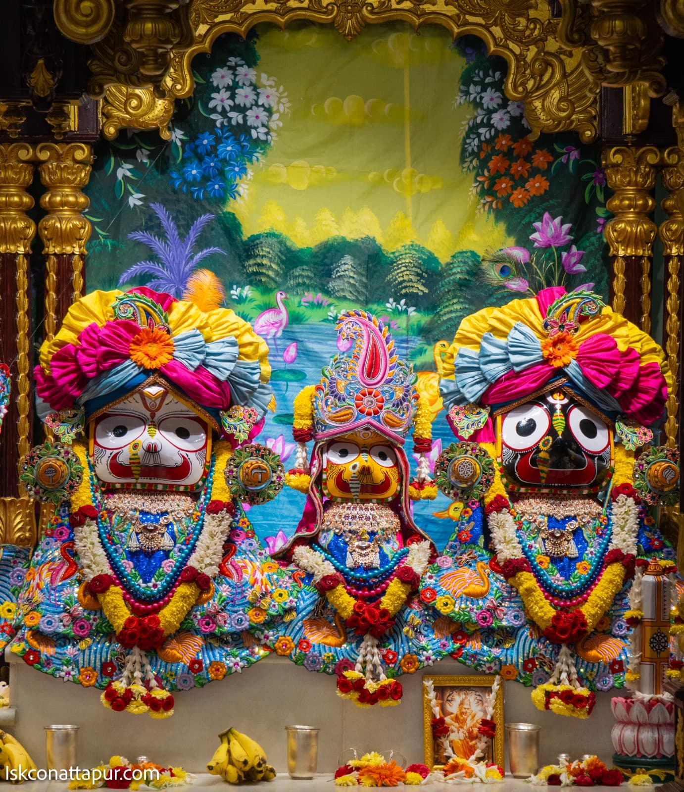 Sringar Darshan photo 3 of 6 — 25 January 2026