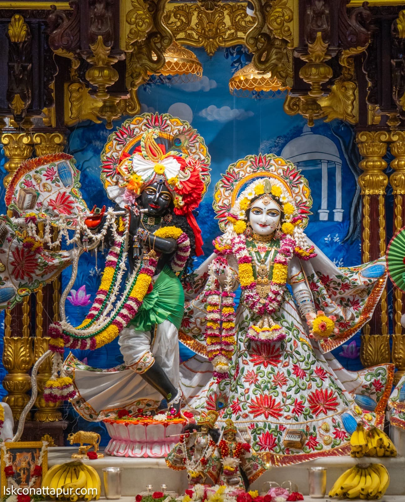 Sringar Darshan photo 1 of 6 — 26 January 2026