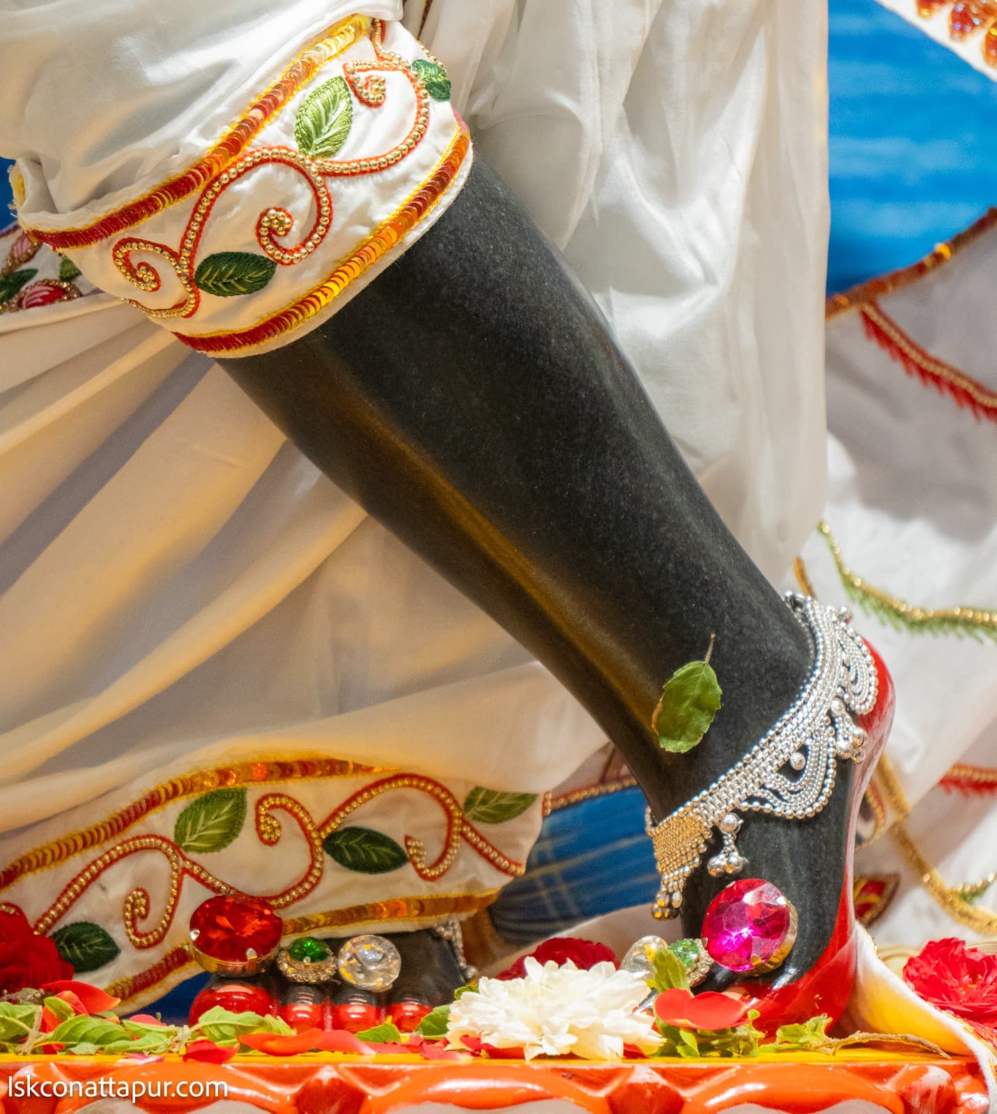 Sringar Darshan photo 2 of 6 — 26 January 2026