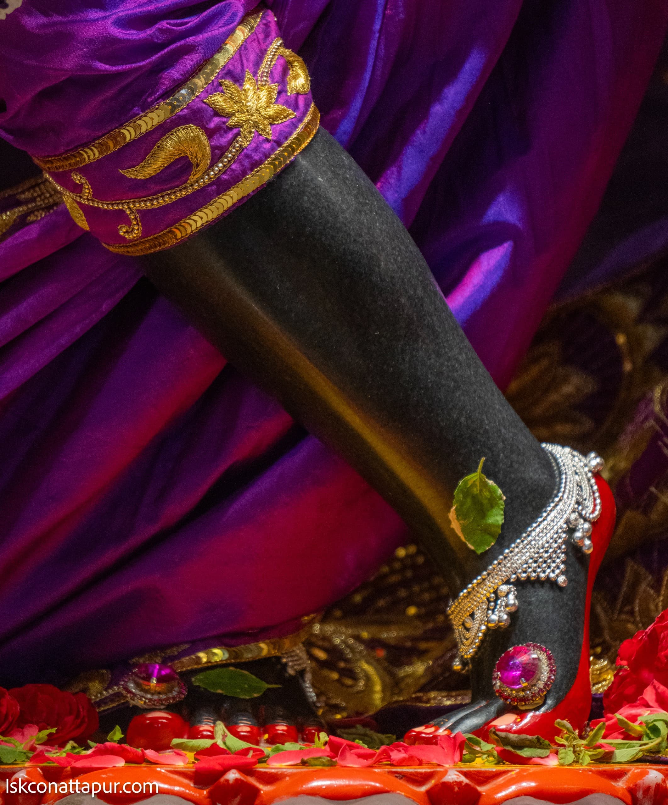 Sringar Darshan photo 4 of 6 — 27 January 2026