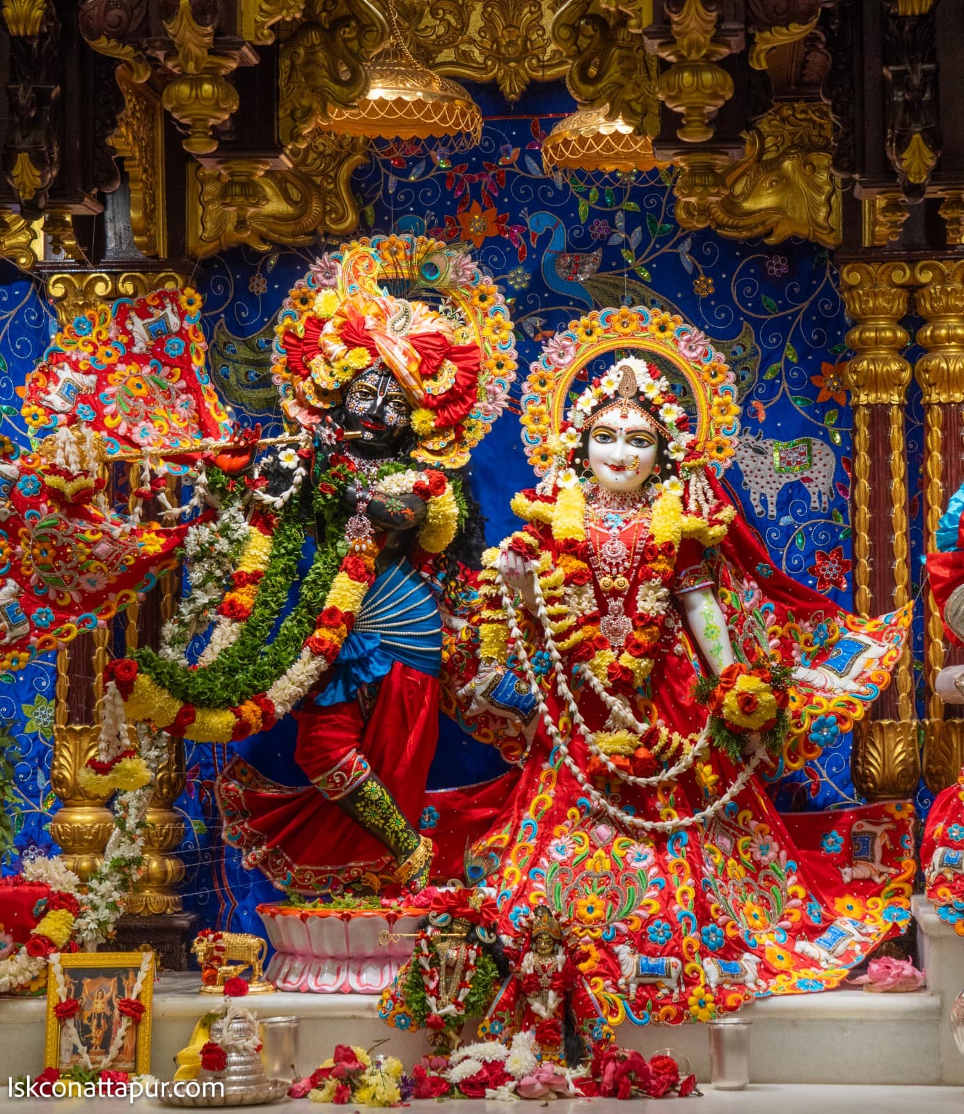 Sringar Darshan photo 1 of 6 — 29 January 2026