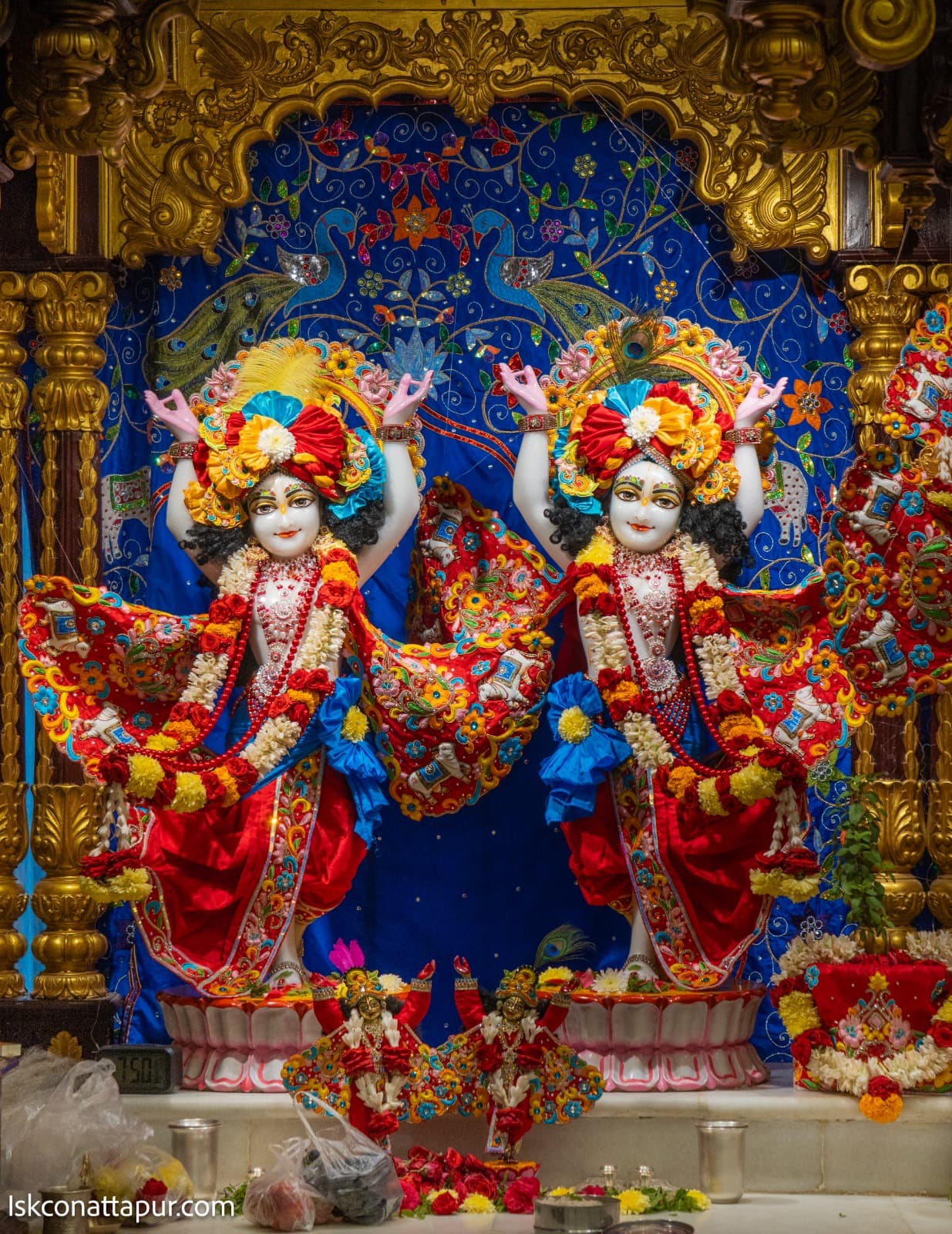 Sringar Darshan photo 5 of 6 — 29 January 2026