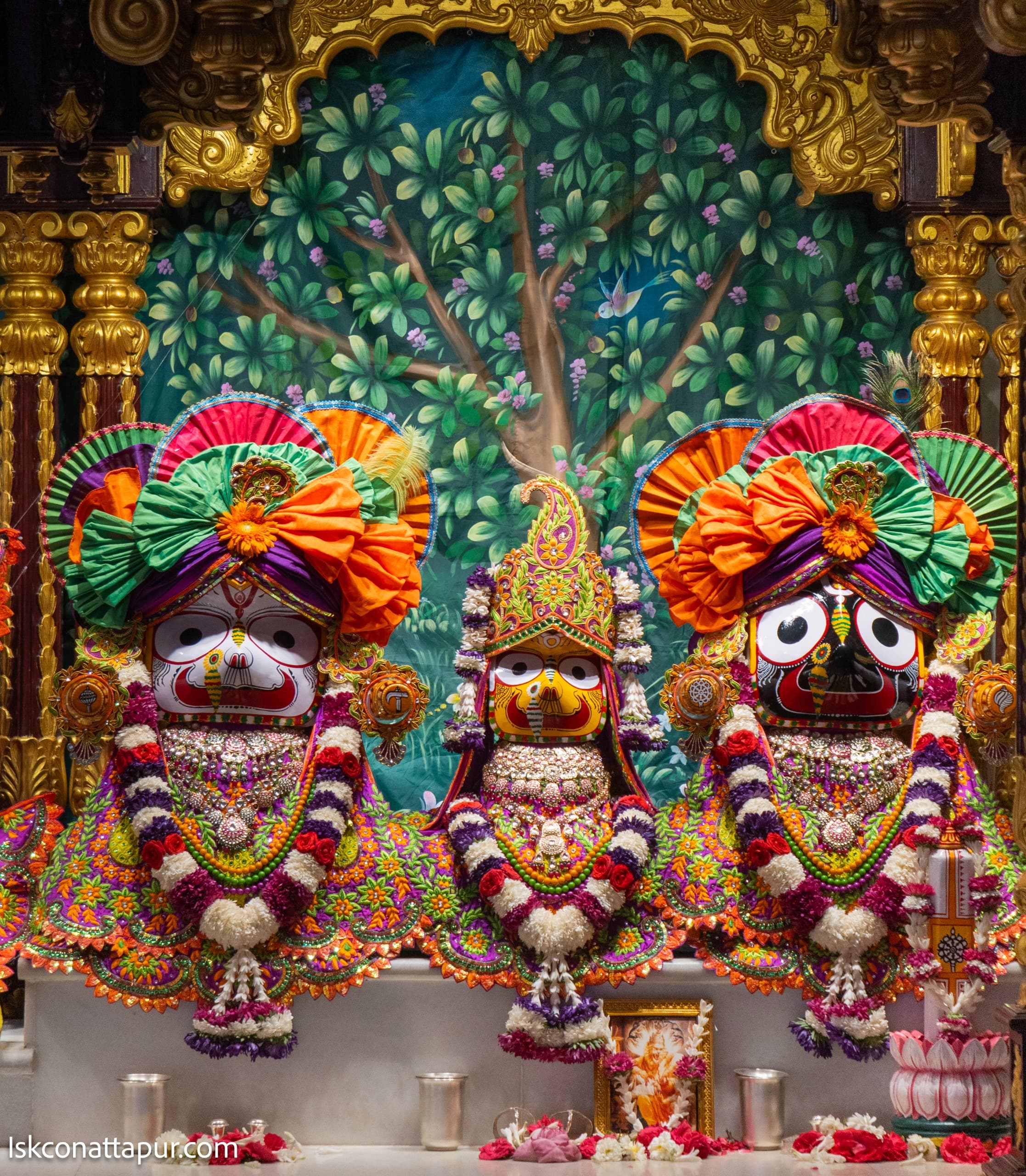 Sringar Darshan photo 3 of 6 — 30 January 2026