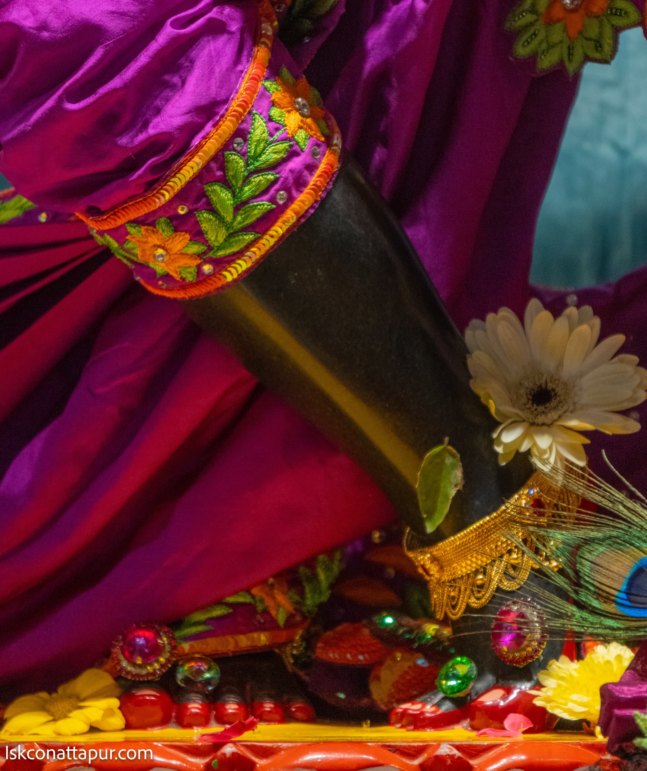 Sringar Darshan photo 4 of 6 — 30 January 2026
