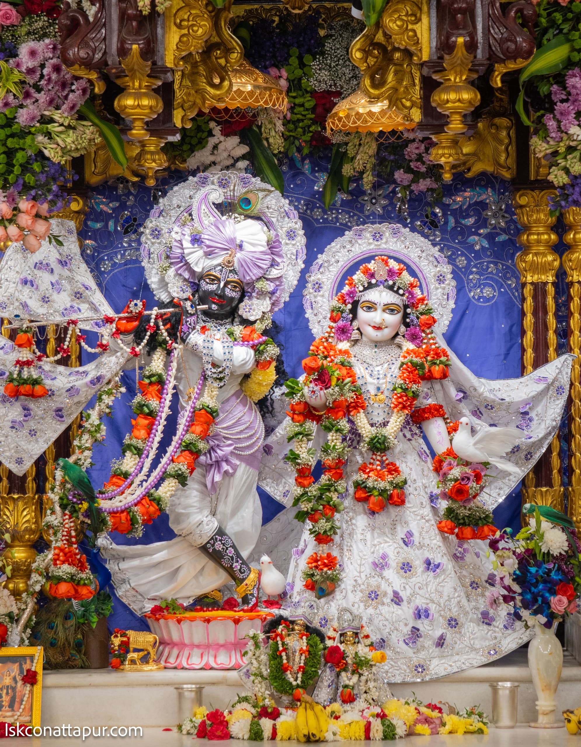 Sringar Darshan photo 1 of 9 — 31 January 2026