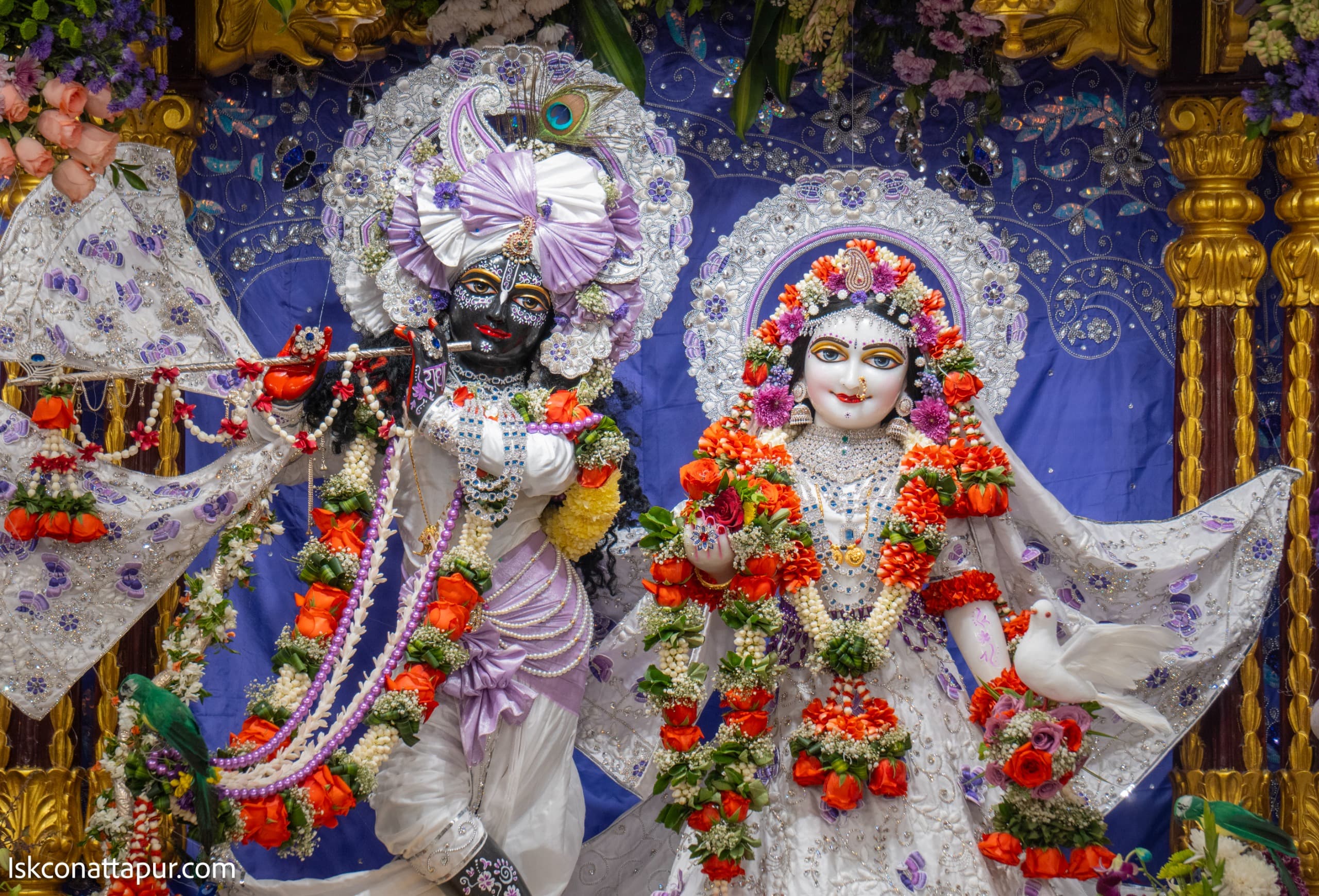Sringar Darshan photo 9 of 9 — 31 January 2026
