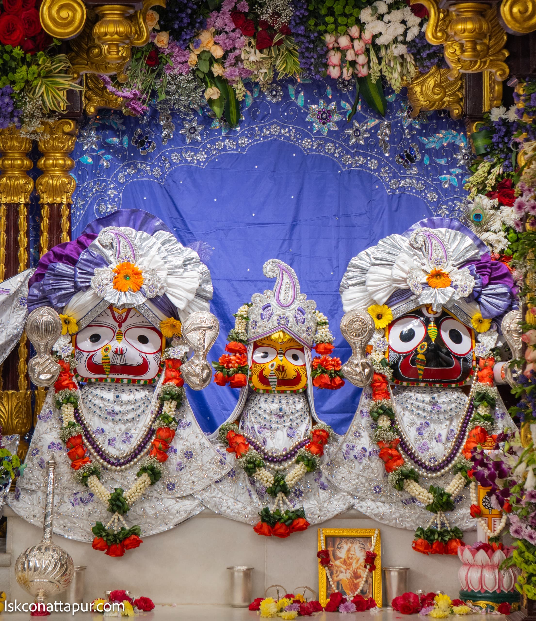 Sringar Darshan photo 8 of 9 — 31 January 2026
