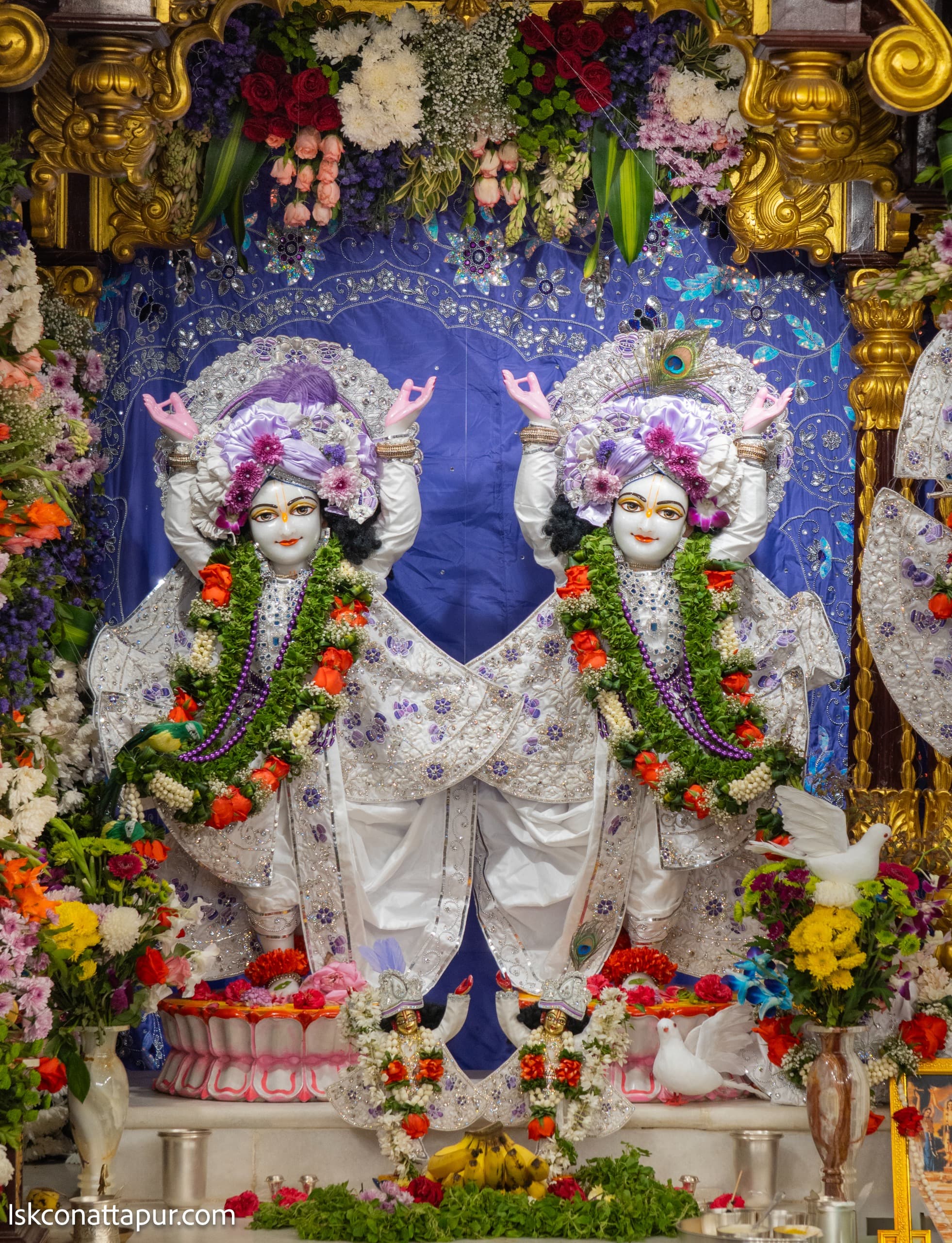 Sringar Darshan photo 3 of 9 — 31 January 2026