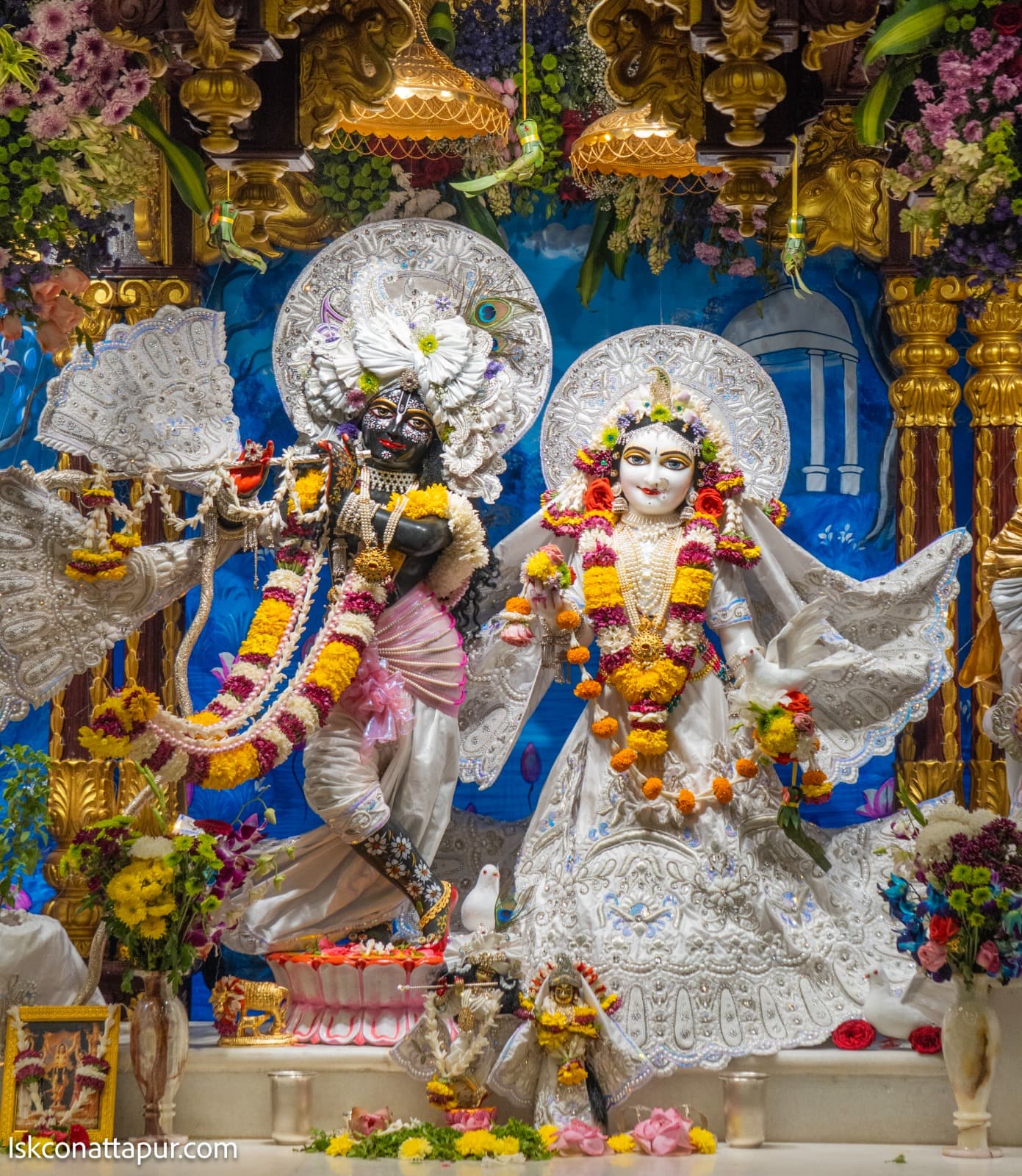Sringar Darshan photo 1 of 6 — 1 February 2026