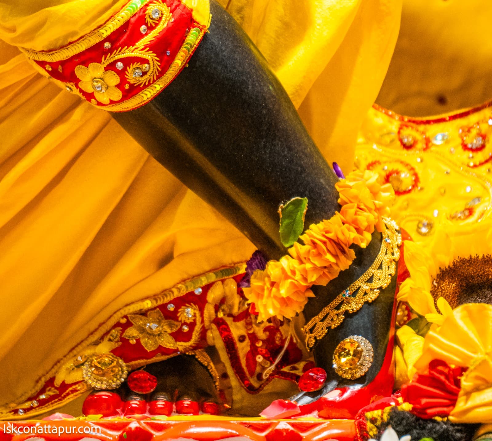 Sringar Darshan photo 4 of 6 — 5 February 2026