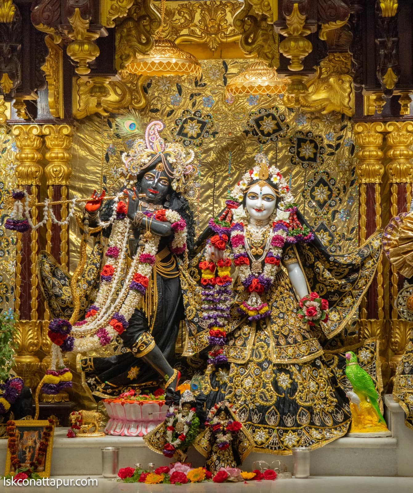 Sringar Darshan photo 1 of 6 — 7 February 2026