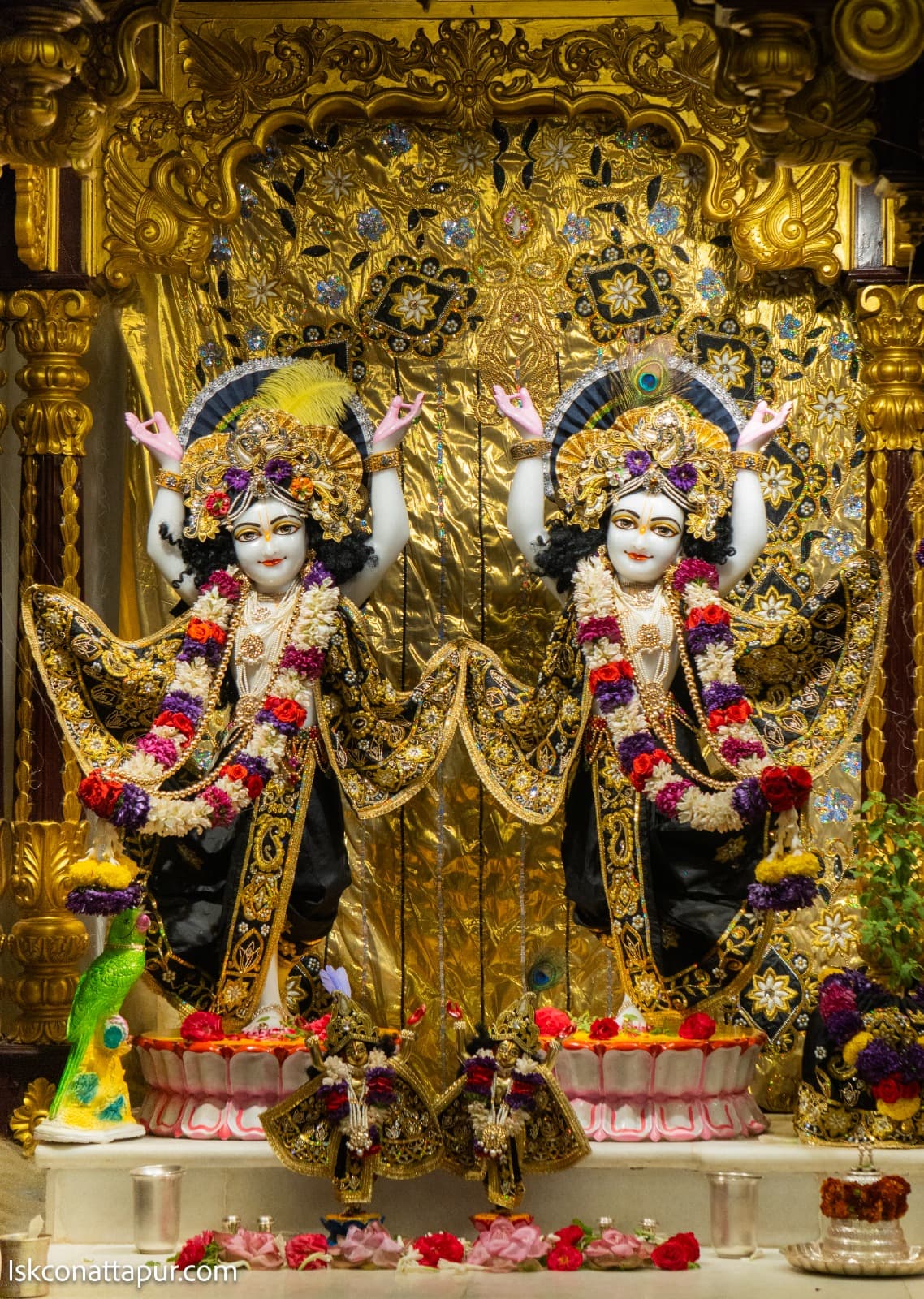 Sringar Darshan photo 5 of 6 — 7 February 2026
