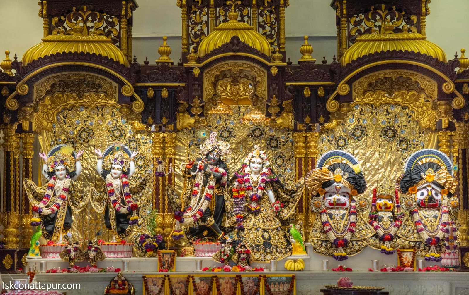 Sringar Darshan photo 4 of 6 — 7 February 2026