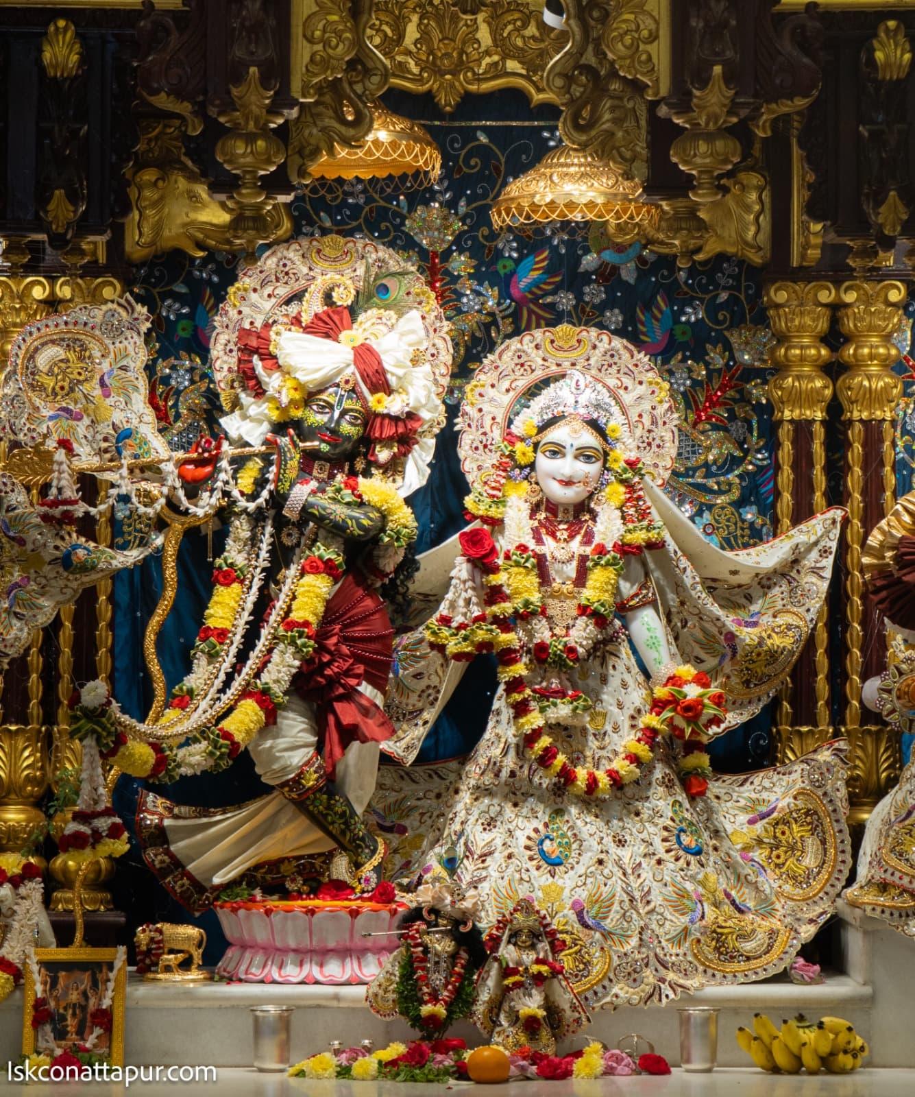 Sringar Darshan photo 1 of 9 — 8 February 2026