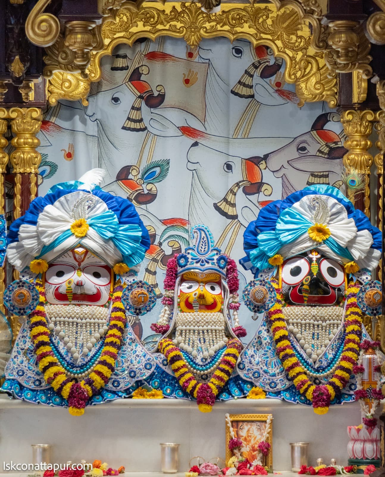 Sringar Darshan photo 3 of 6 — 9 February 2026
