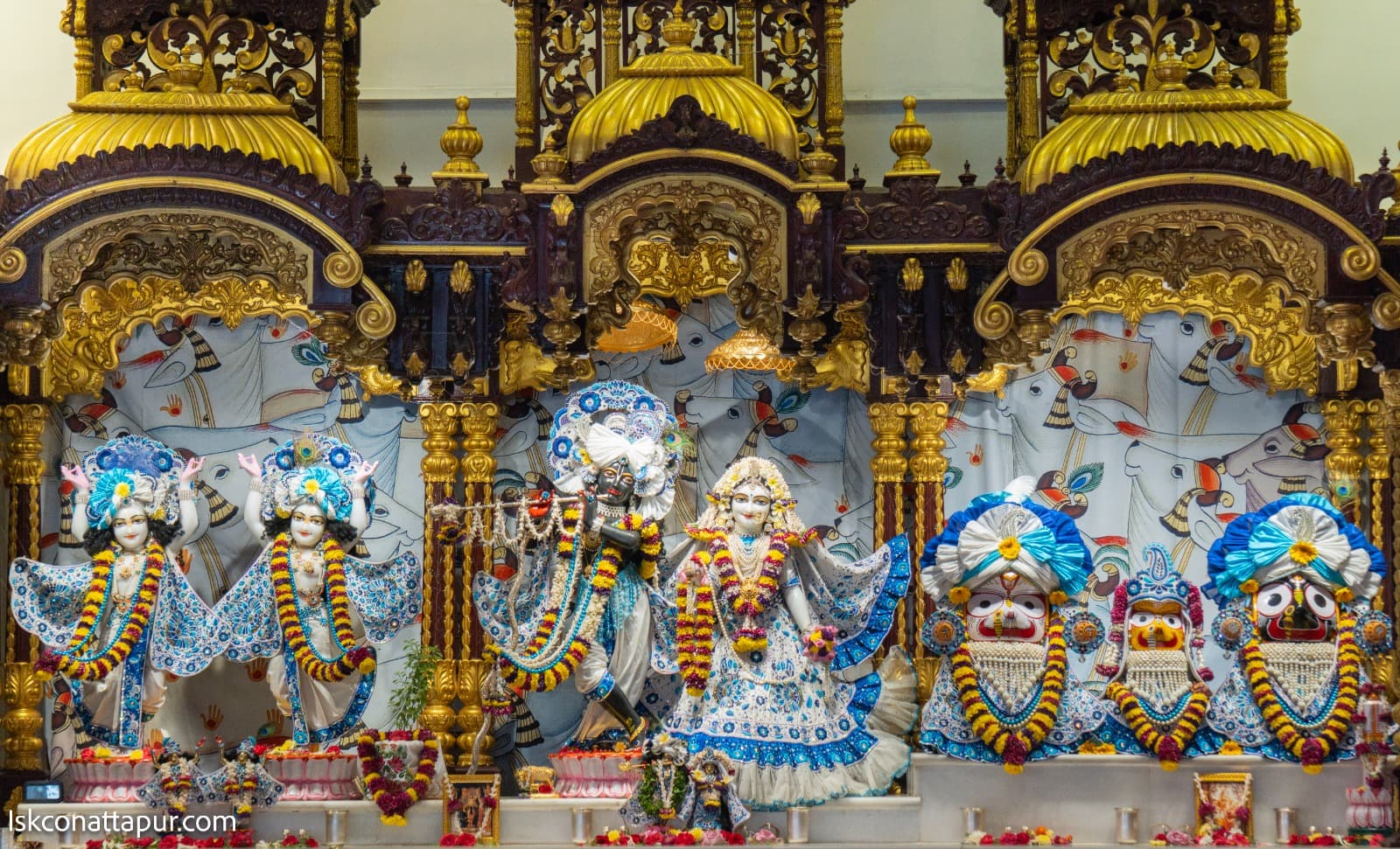 Sringar Darshan photo 2 of 6 — 9 February 2026