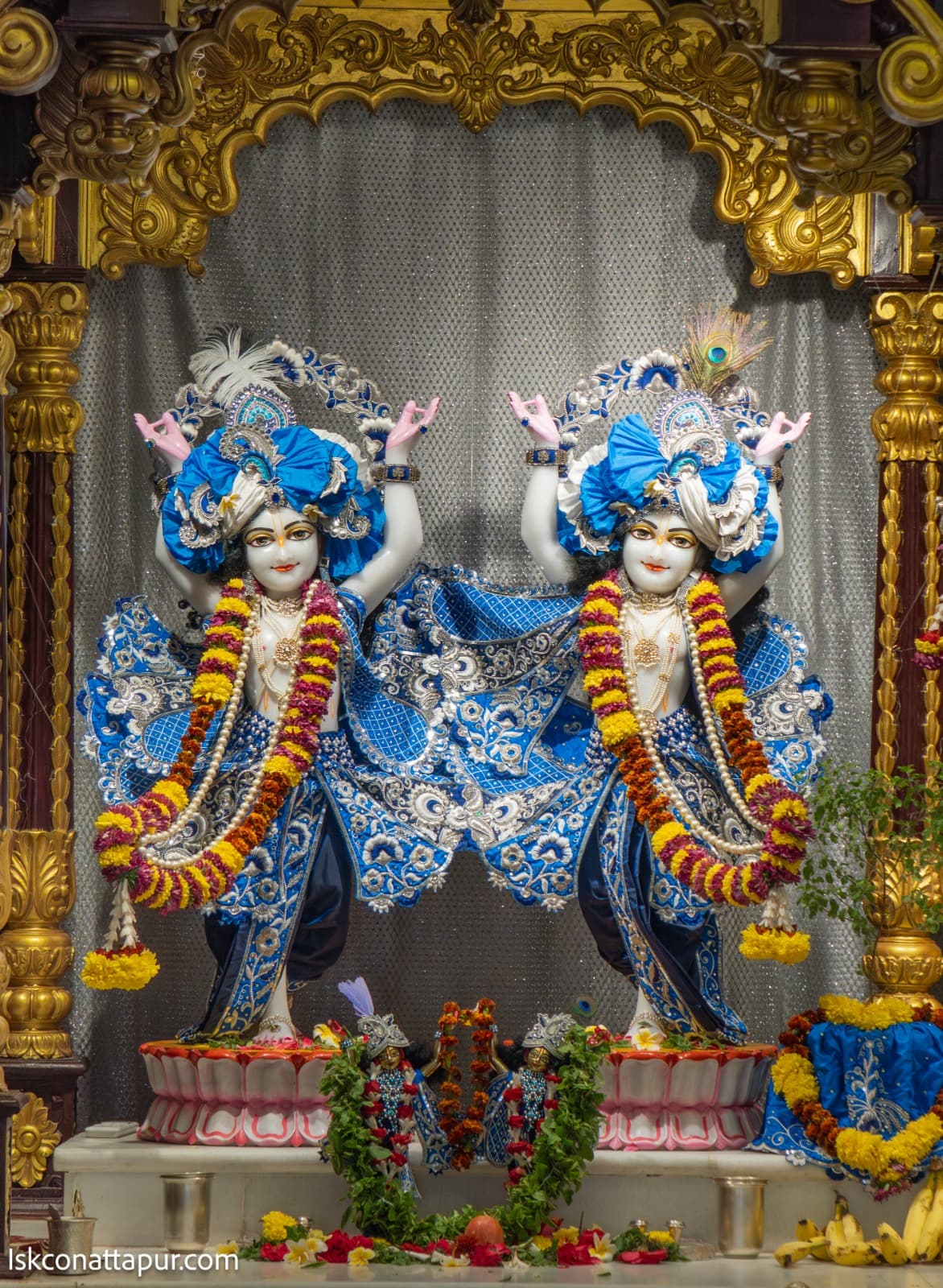 Sringar Darshan photo 6 of 6 — 14 February 2026