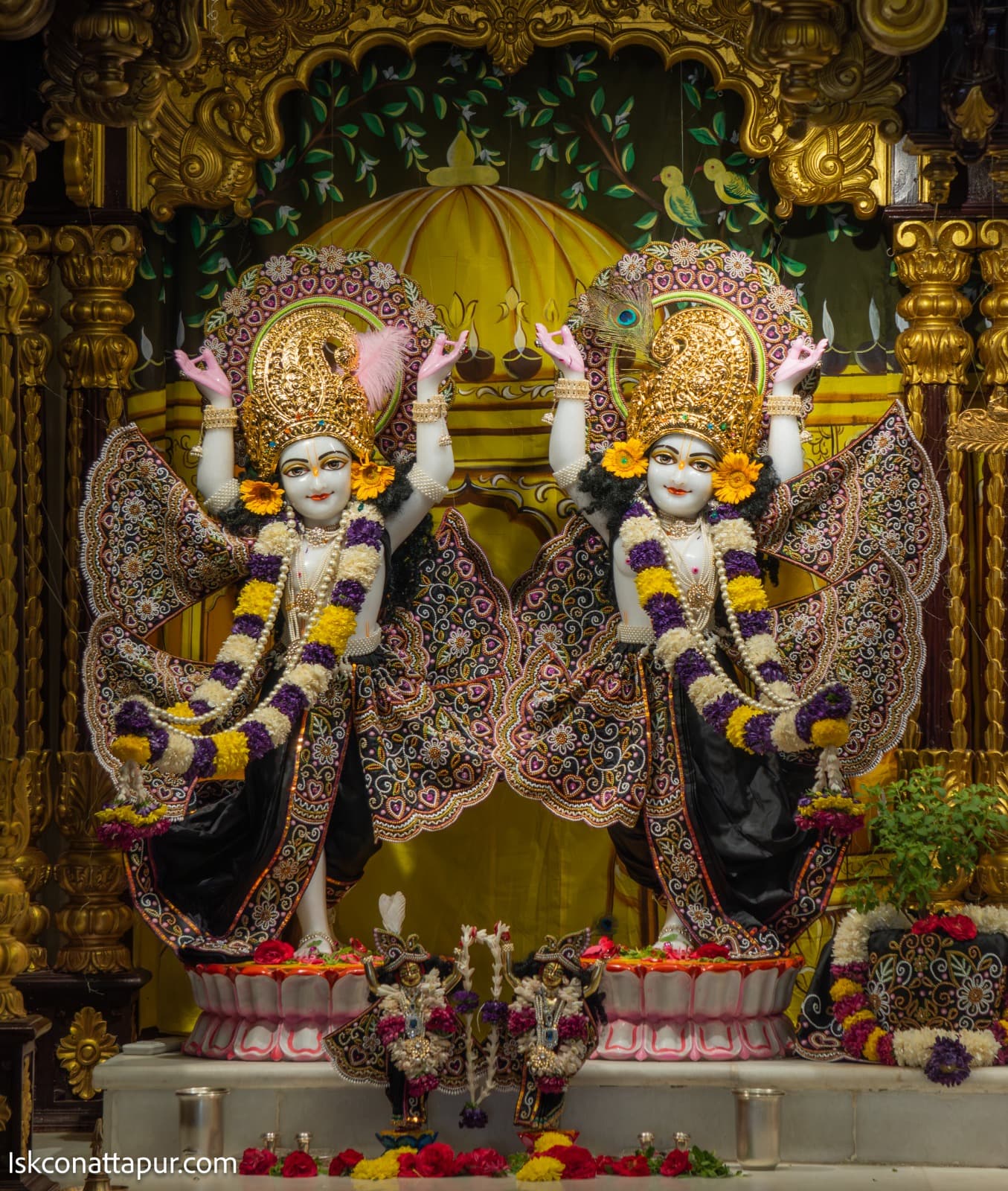 Sringar Darshan photo 6 of 6 — 17 February 2026