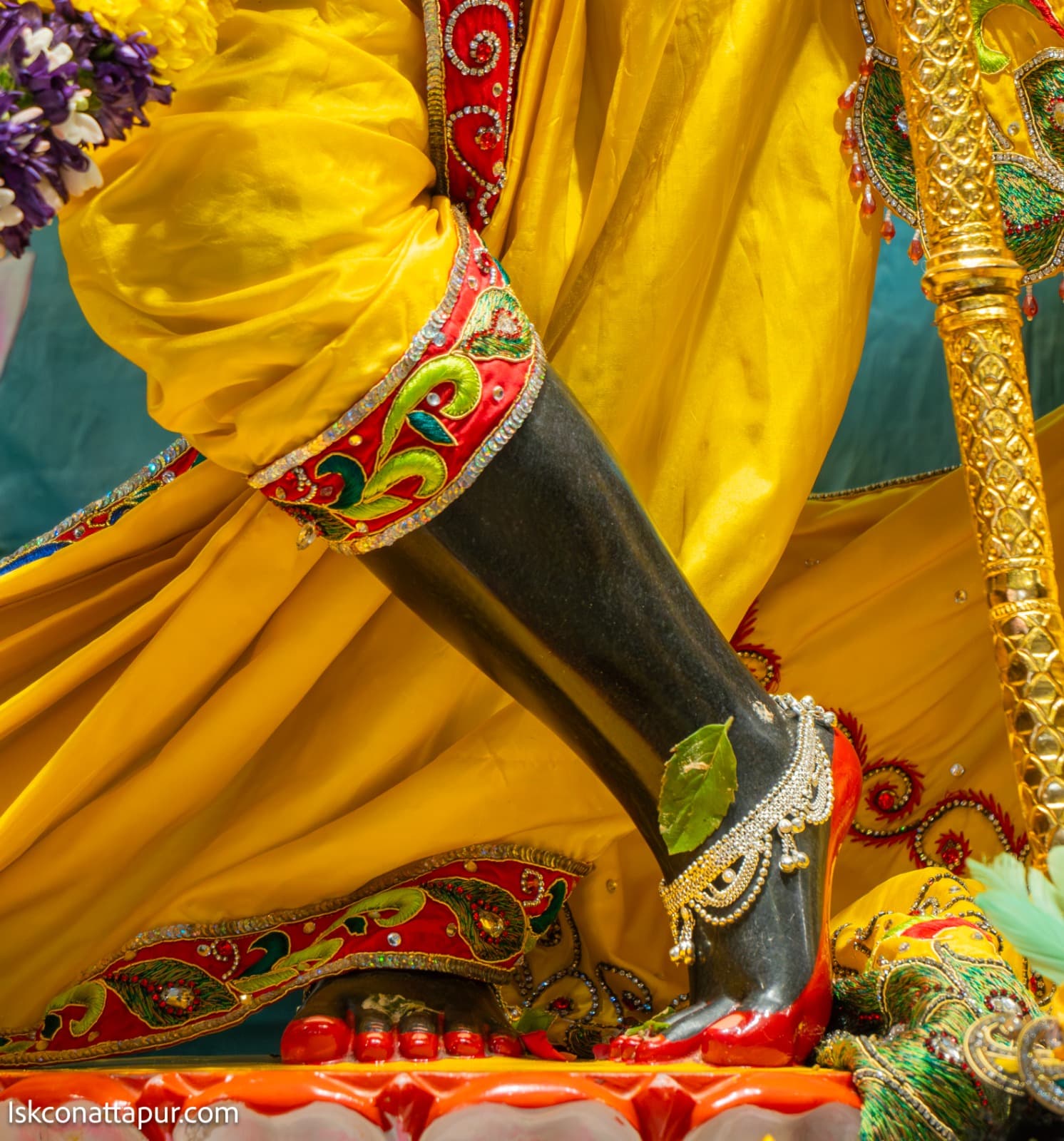 Sringar Darshan photo 2 of 6 — 19 February 2026