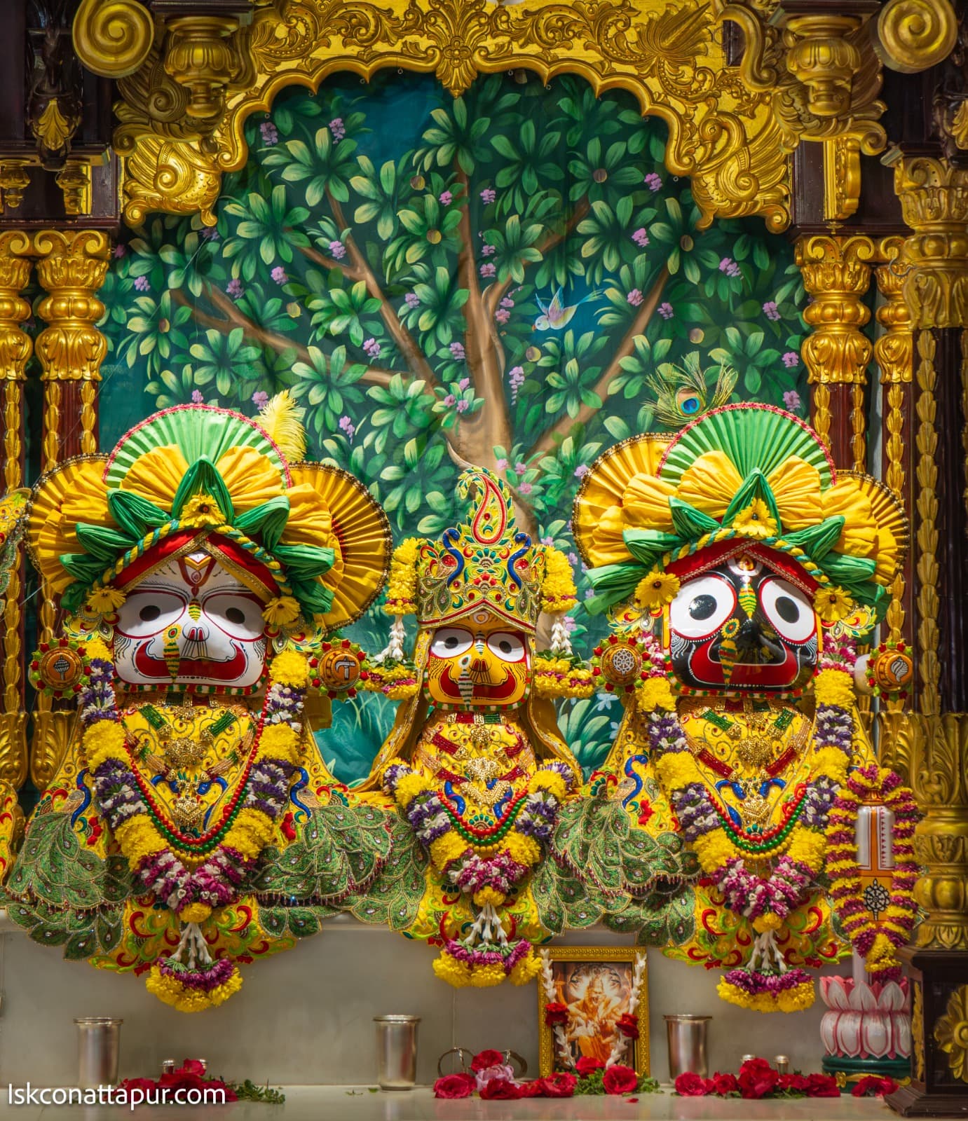 Sringar Darshan photo 6 of 6 — 19 February 2026