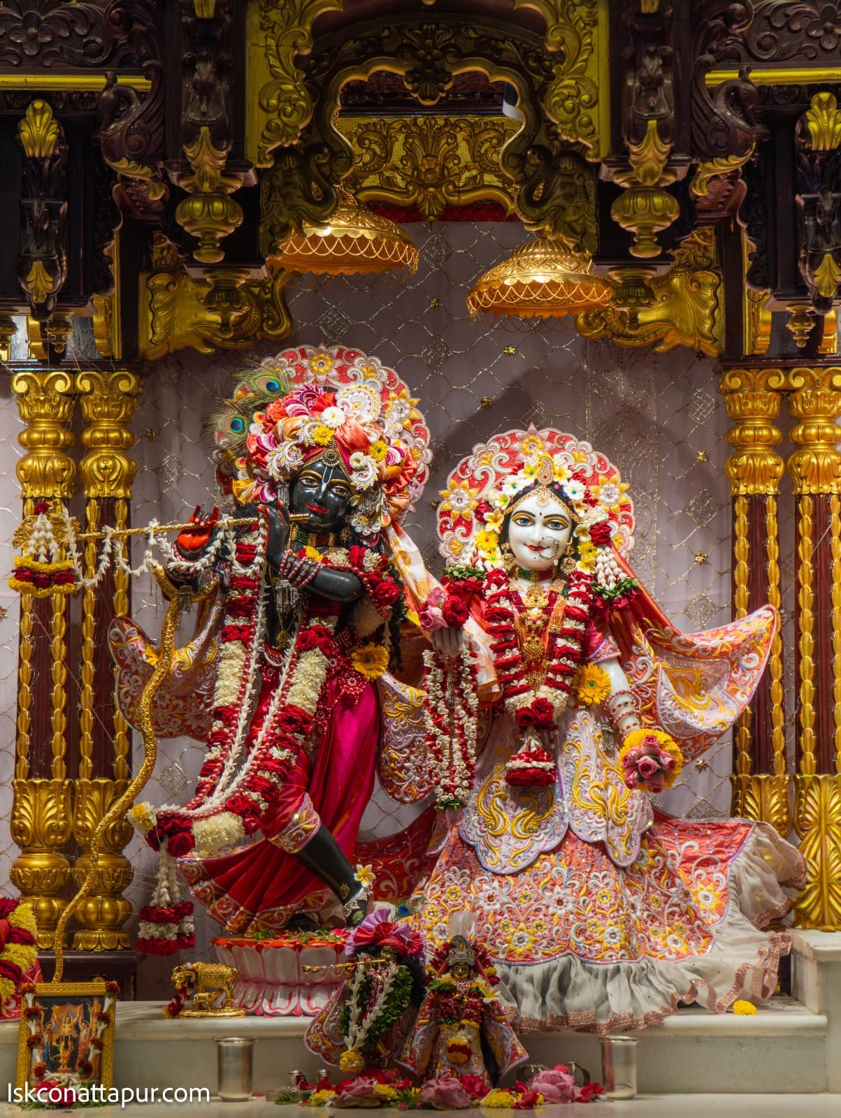 Sringar Darshan photo 1 of 6 — 24 February 2026