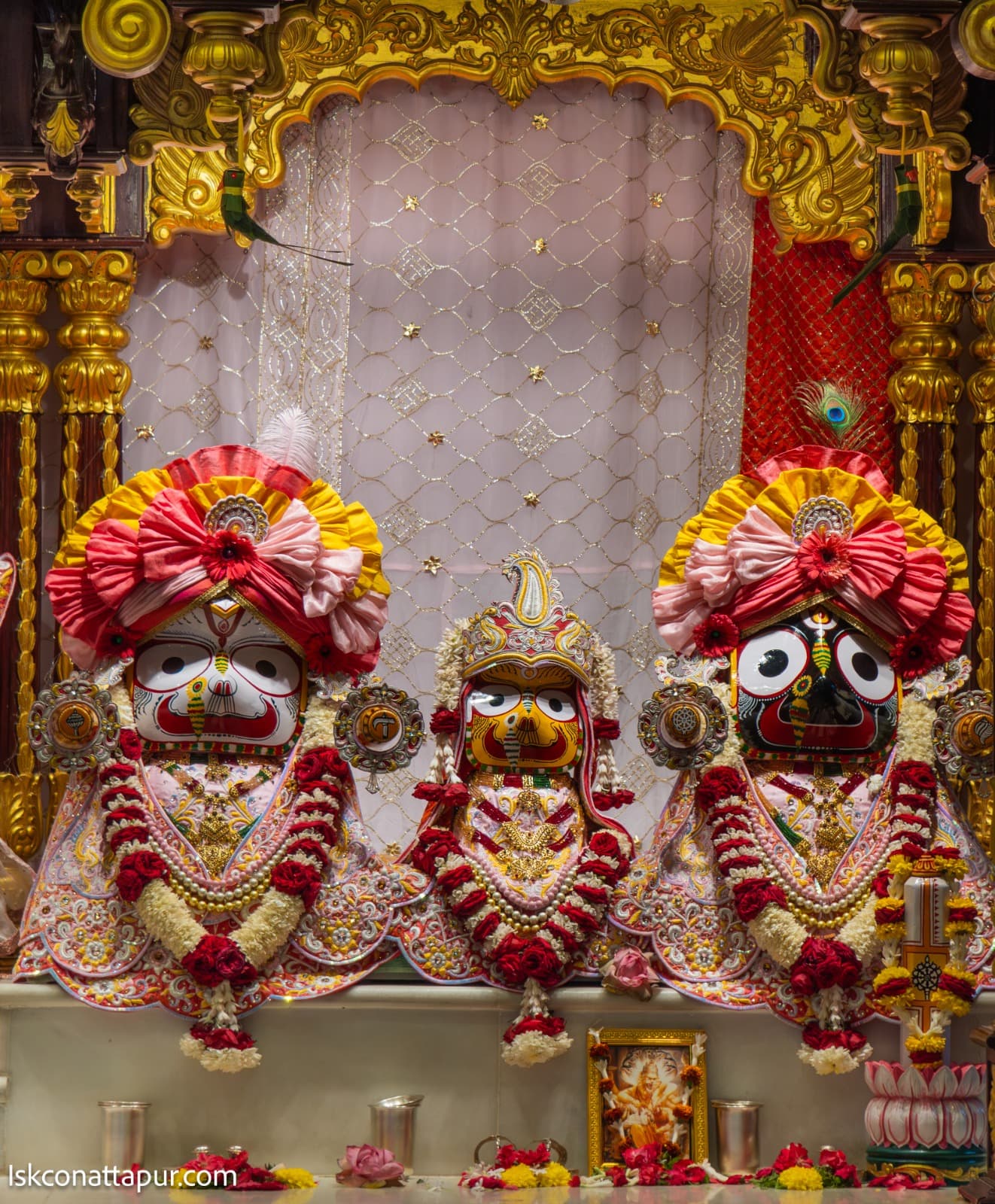 Sringar Darshan photo 2 of 6 — 24 February 2026