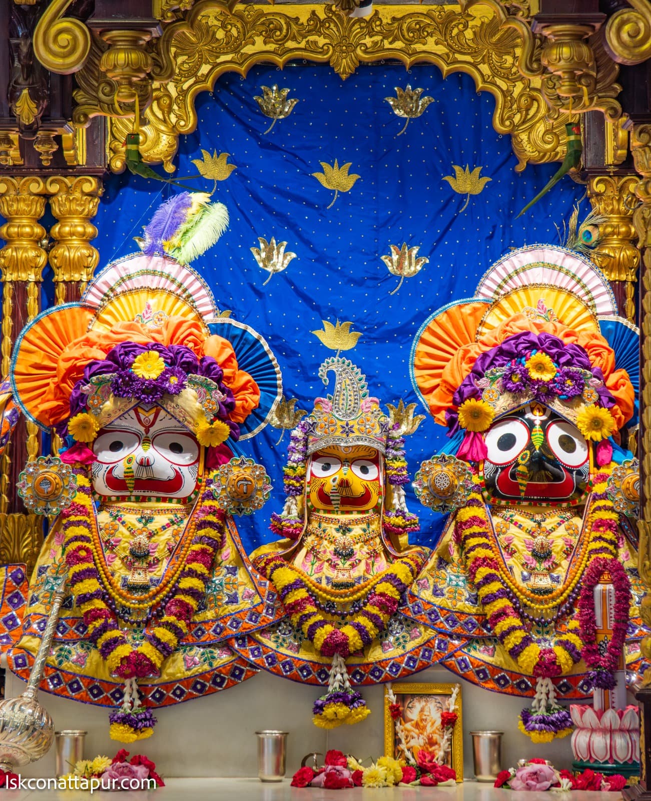 Sringar Darshan photo 4 of 6 — 26 February 2026